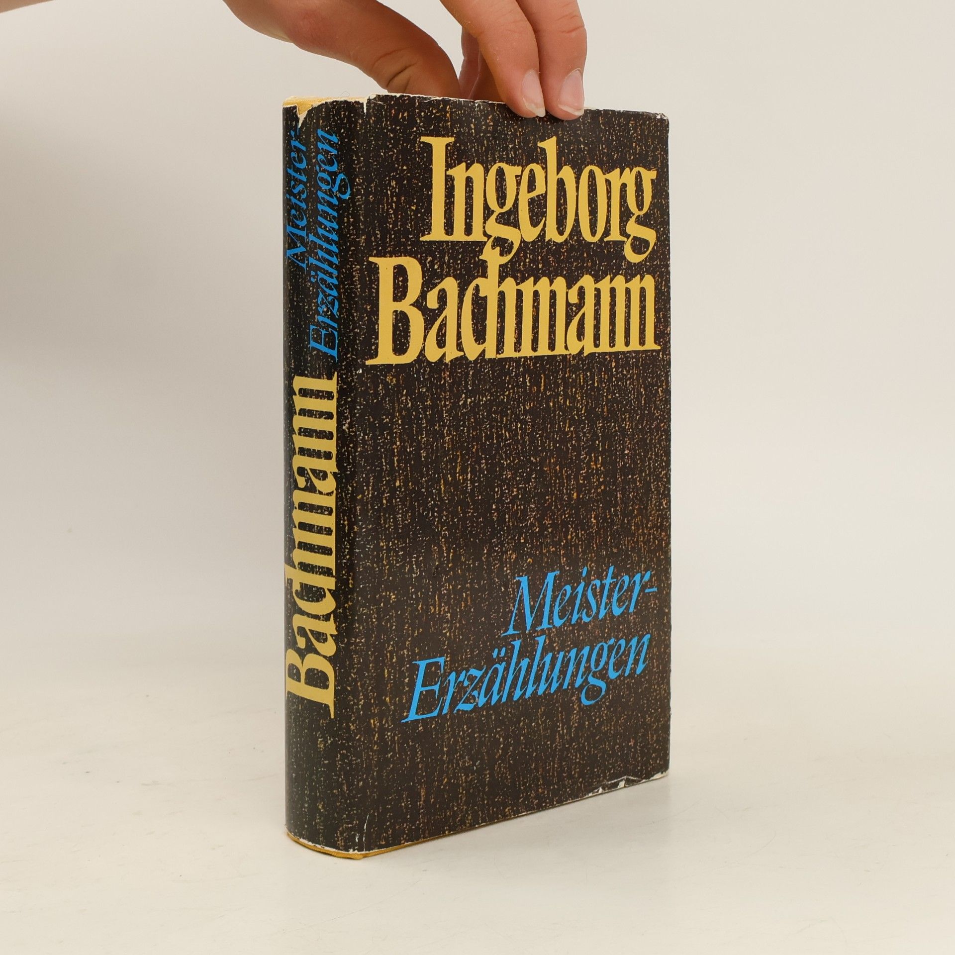 Ingeborg Bachmann Meister-Erzählungen