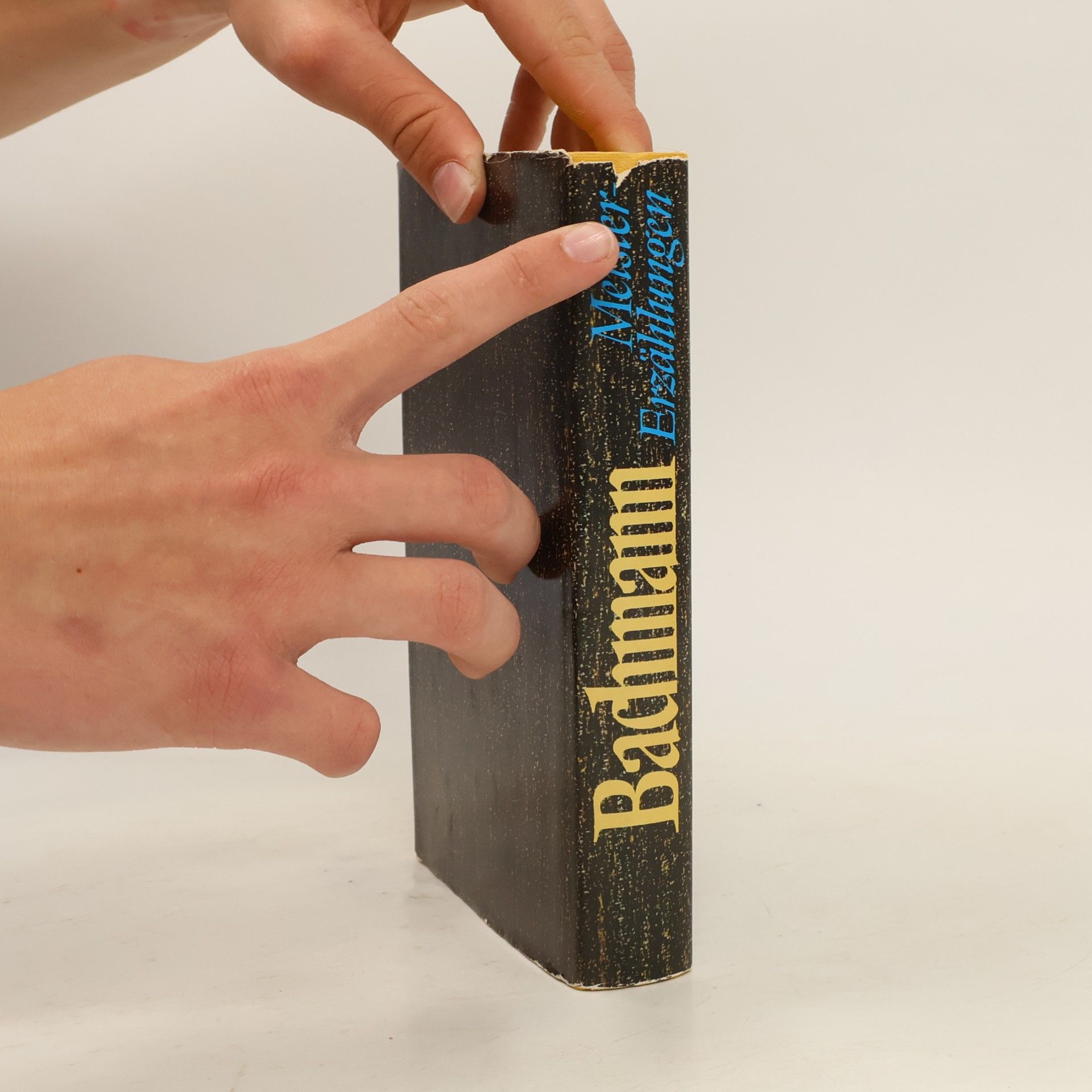 Ingeborg Bachmann Meister-Erzählungen