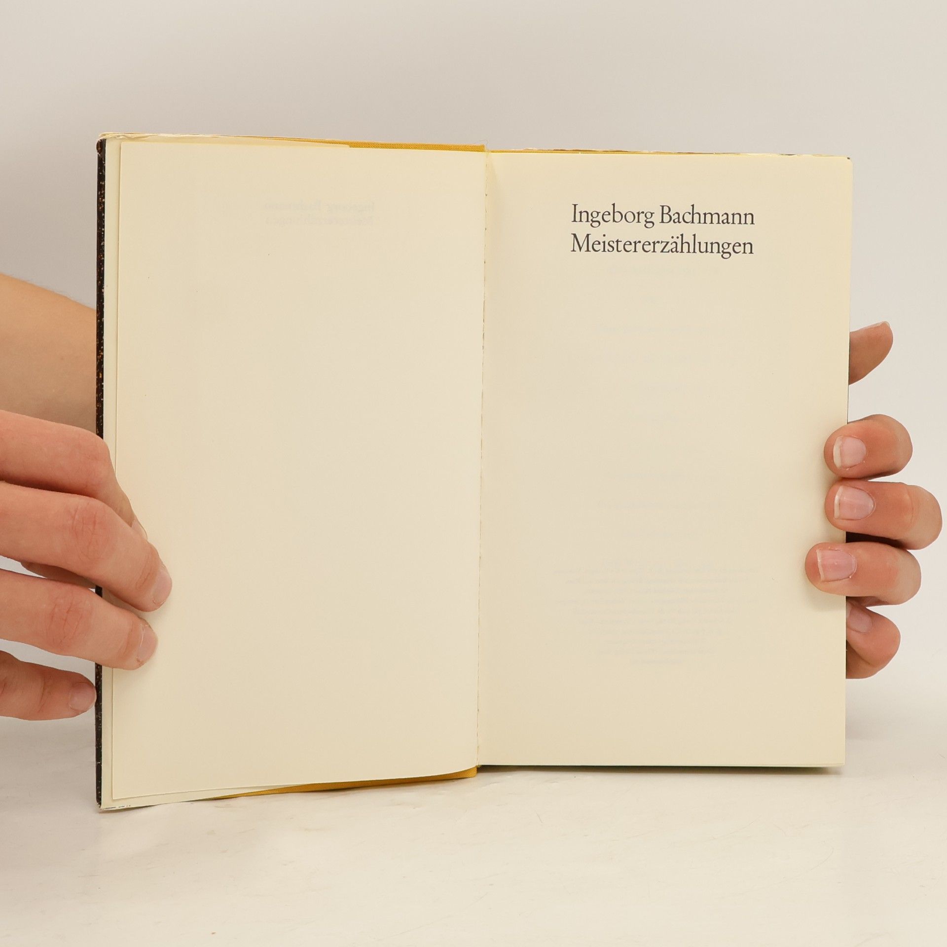 Ingeborg Bachmann Meister-Erzählungen
