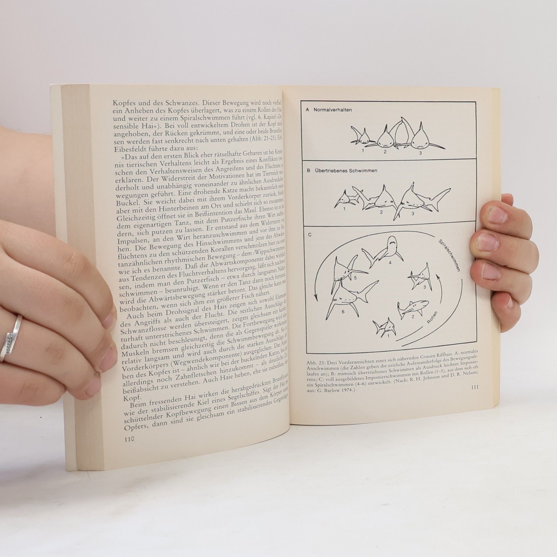 Hans Hass Wie Haie wirklich sind
