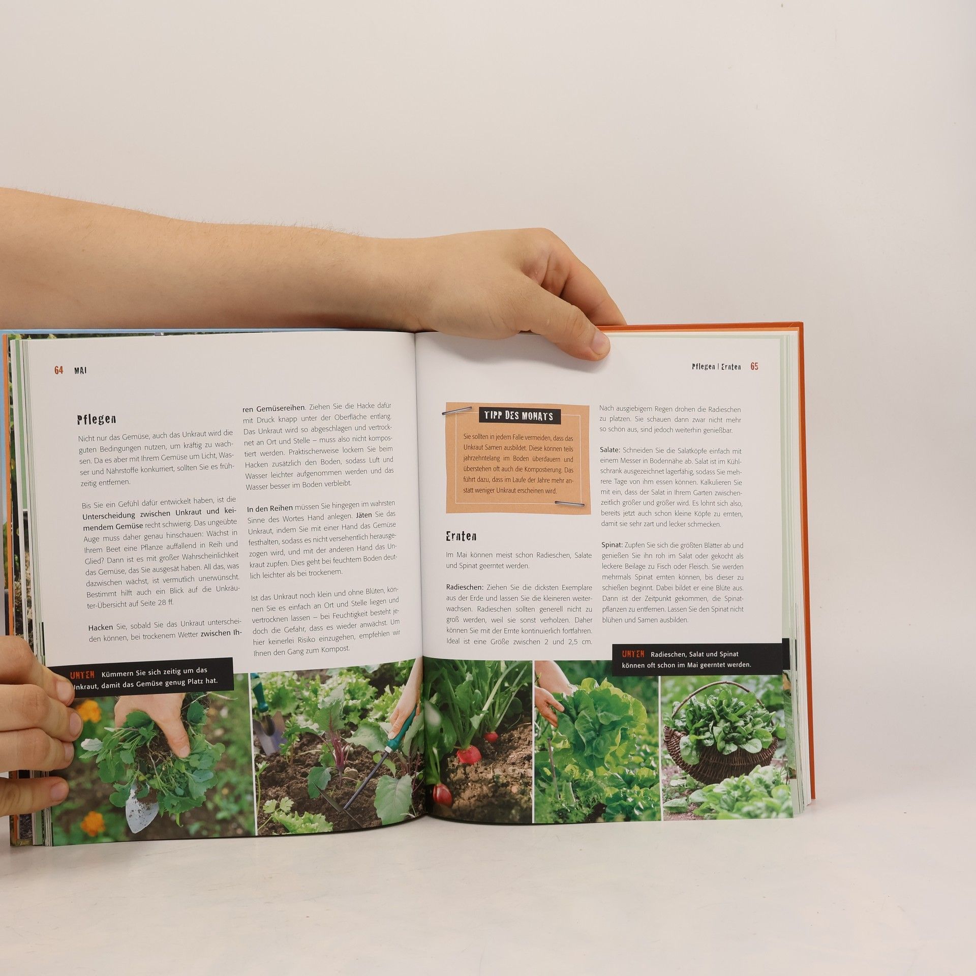 Natalie Kirchbaumer Das 100 % Ernte-Glück-Buch