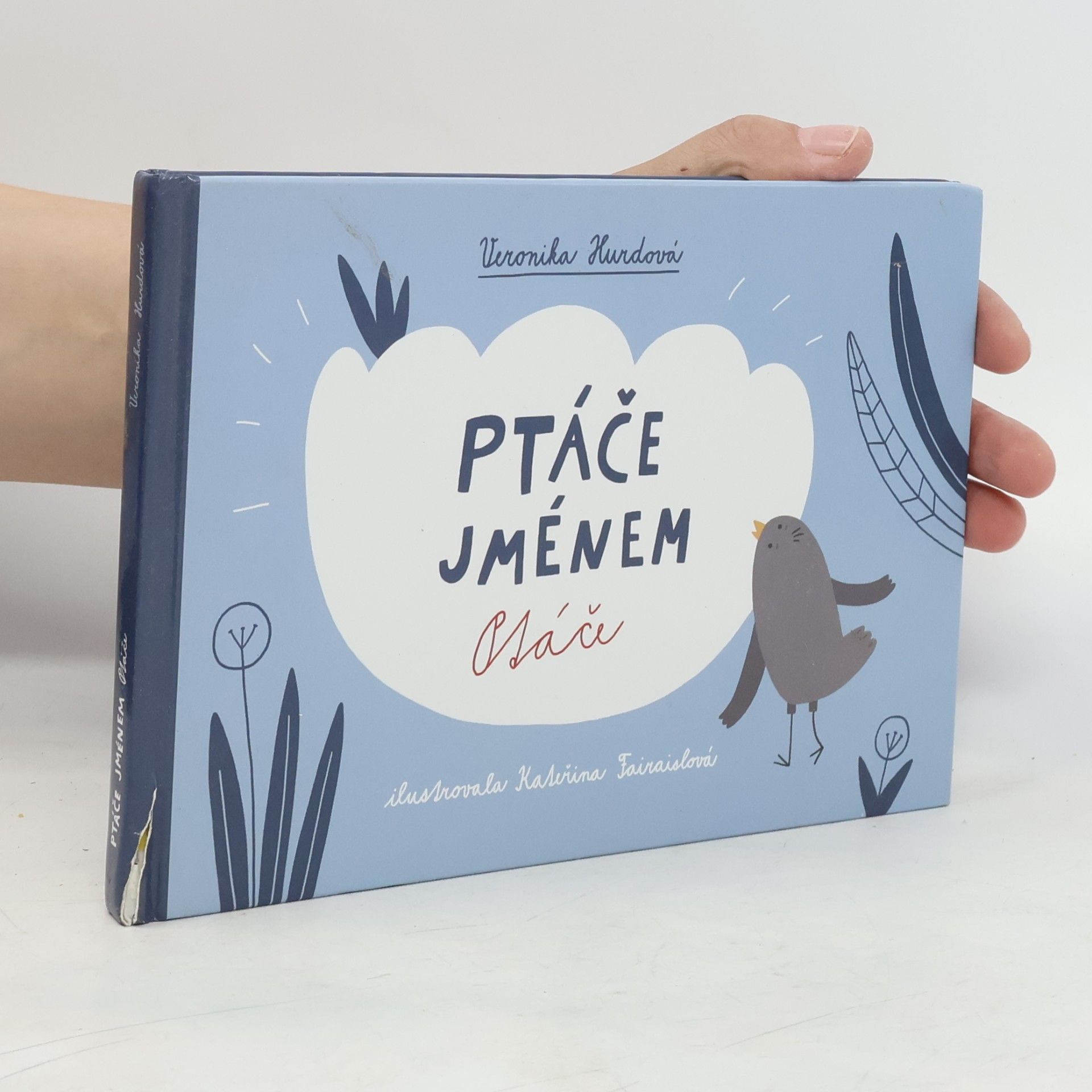 Ptáče jménem Ptáče