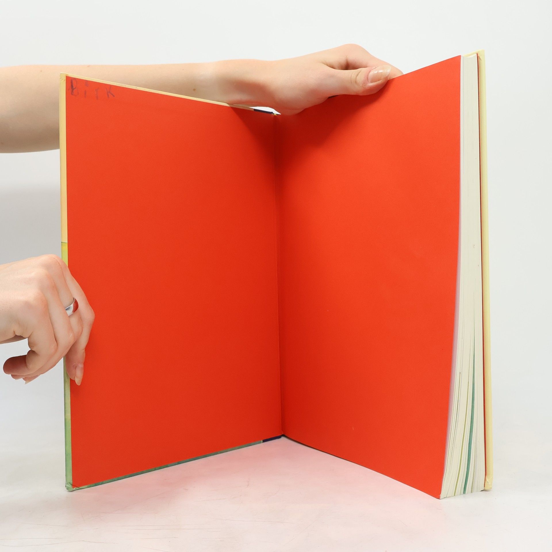 Der Liederbär. Das neue Liederbuch für die ganze Familie