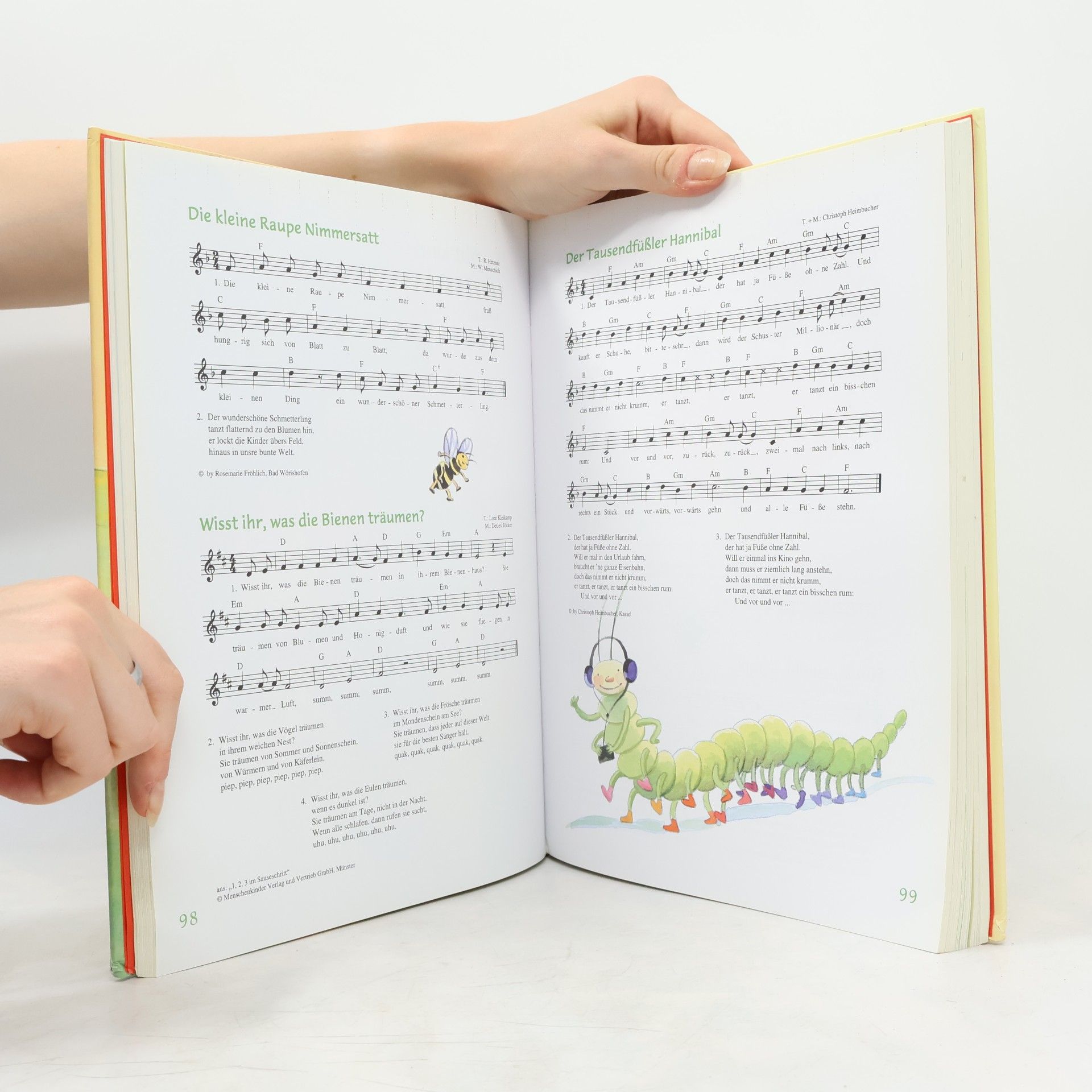 Der Liederbär. Das neue Liederbuch für die ganze Familie