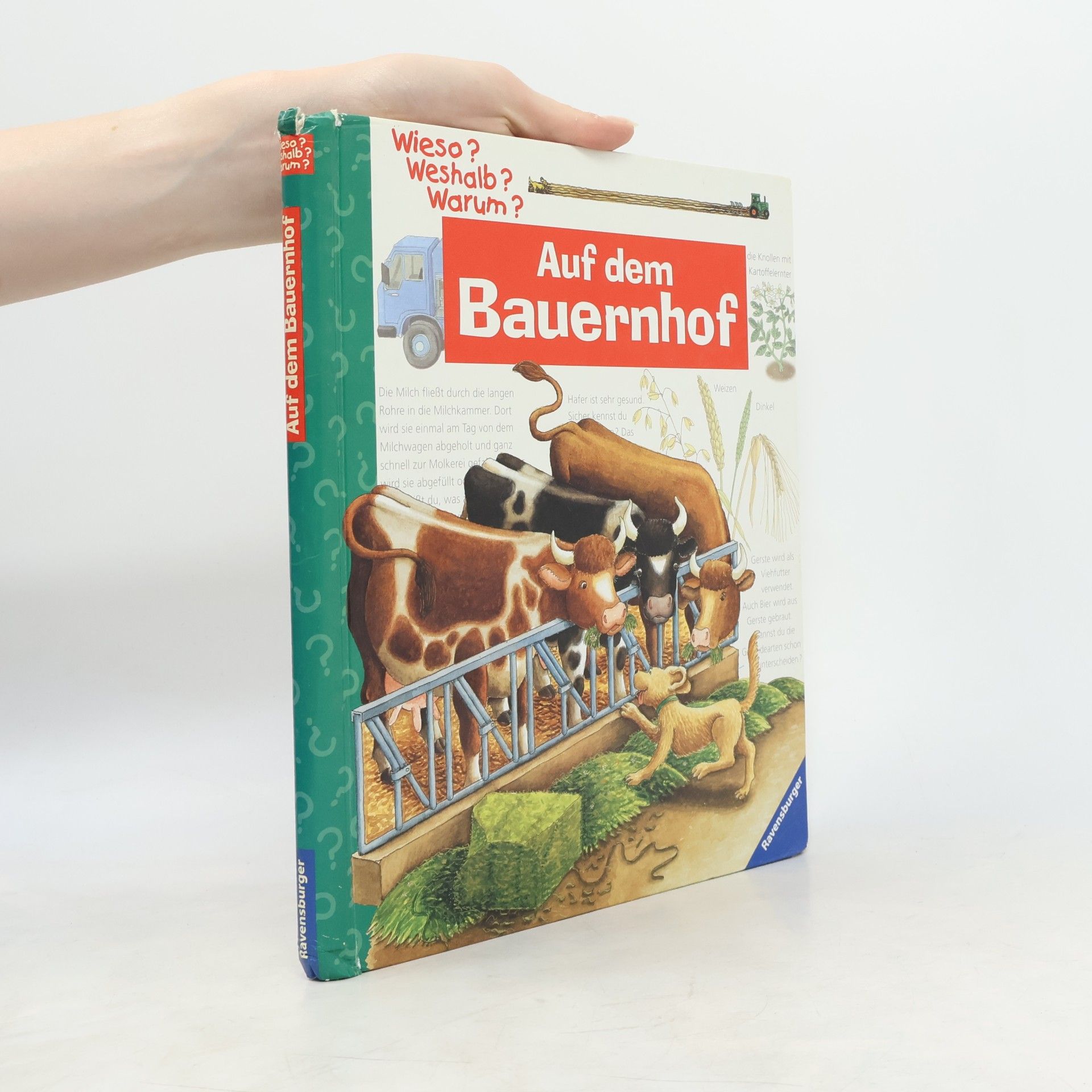 Constanza Droop Auf dem Bauernhof