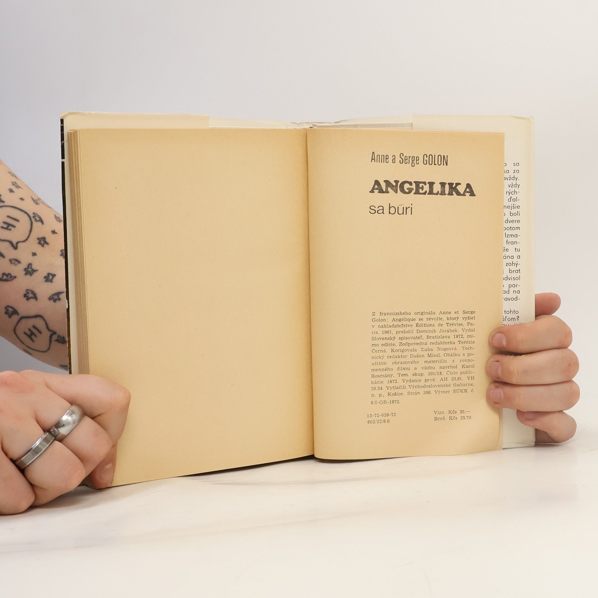 Anne Golon Angelika se búri