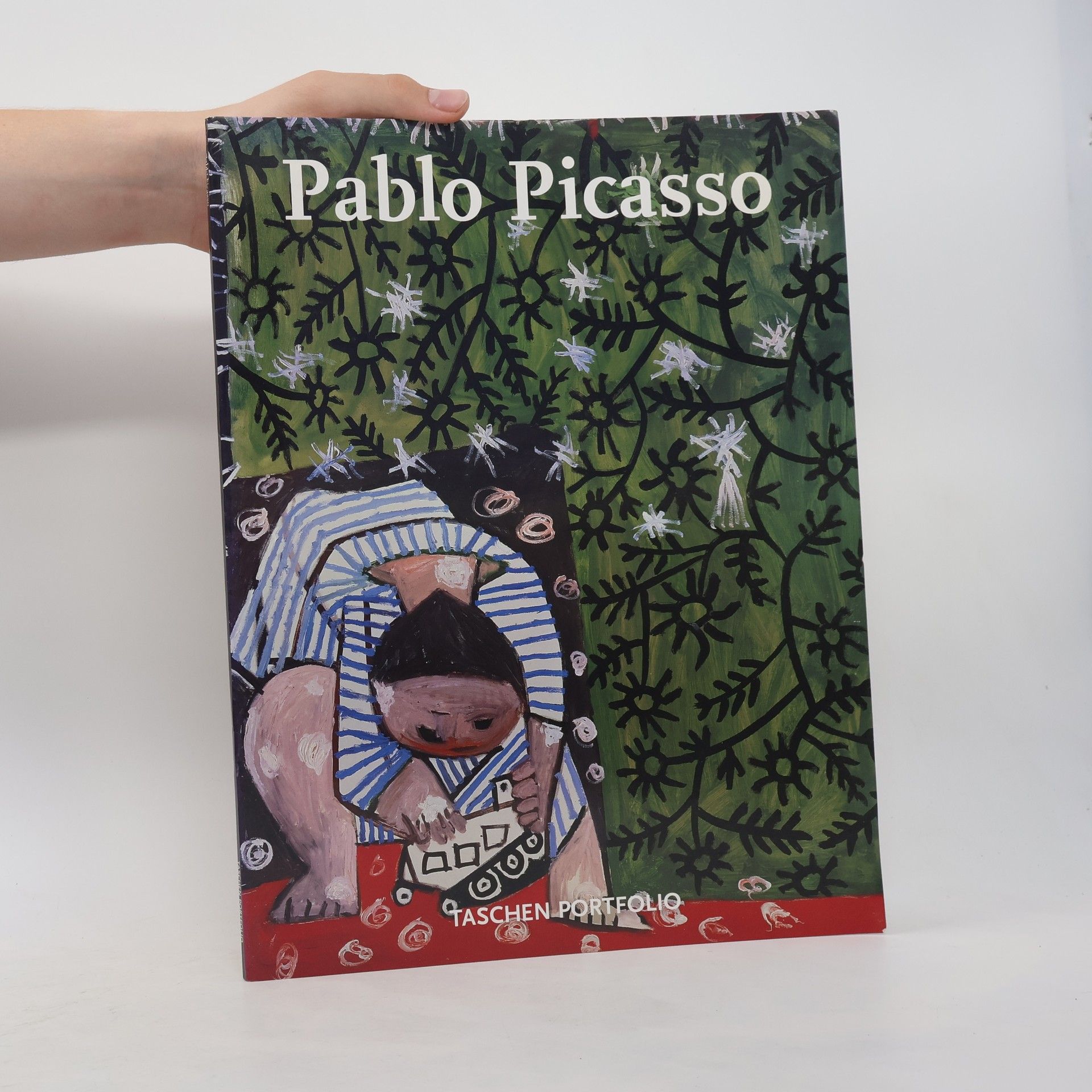 Juliane Steinbrecher Portfolio: Pablo Picasso. Ediz. inglese, francese e tedesca