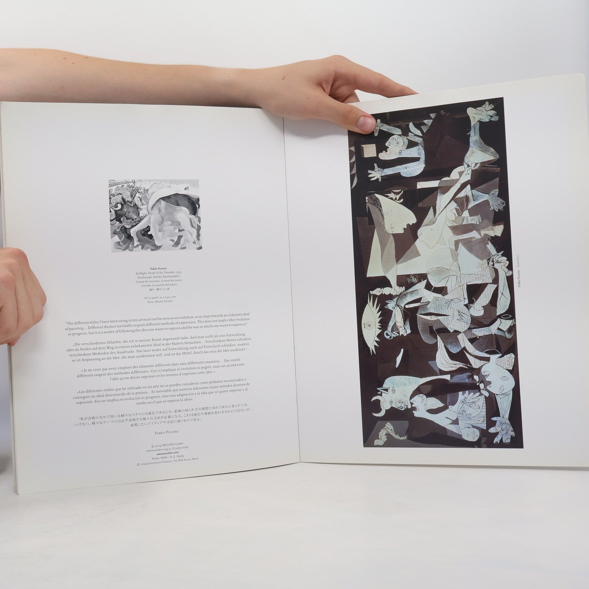 Pablo Picasso Portfolio: Pablo Picasso. Ediz. inglese, francese e tedesca