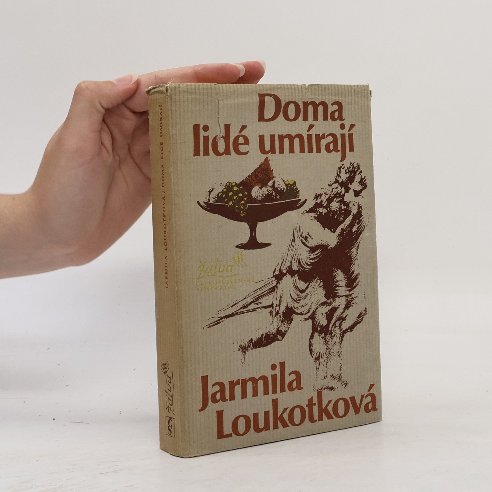 Jarmila Loukotková Doma lidé umírají