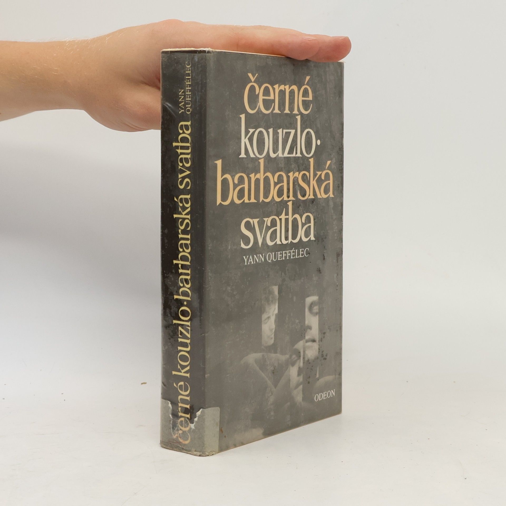 Yann Queffélec Černé kouzlo. Barbarská svatba