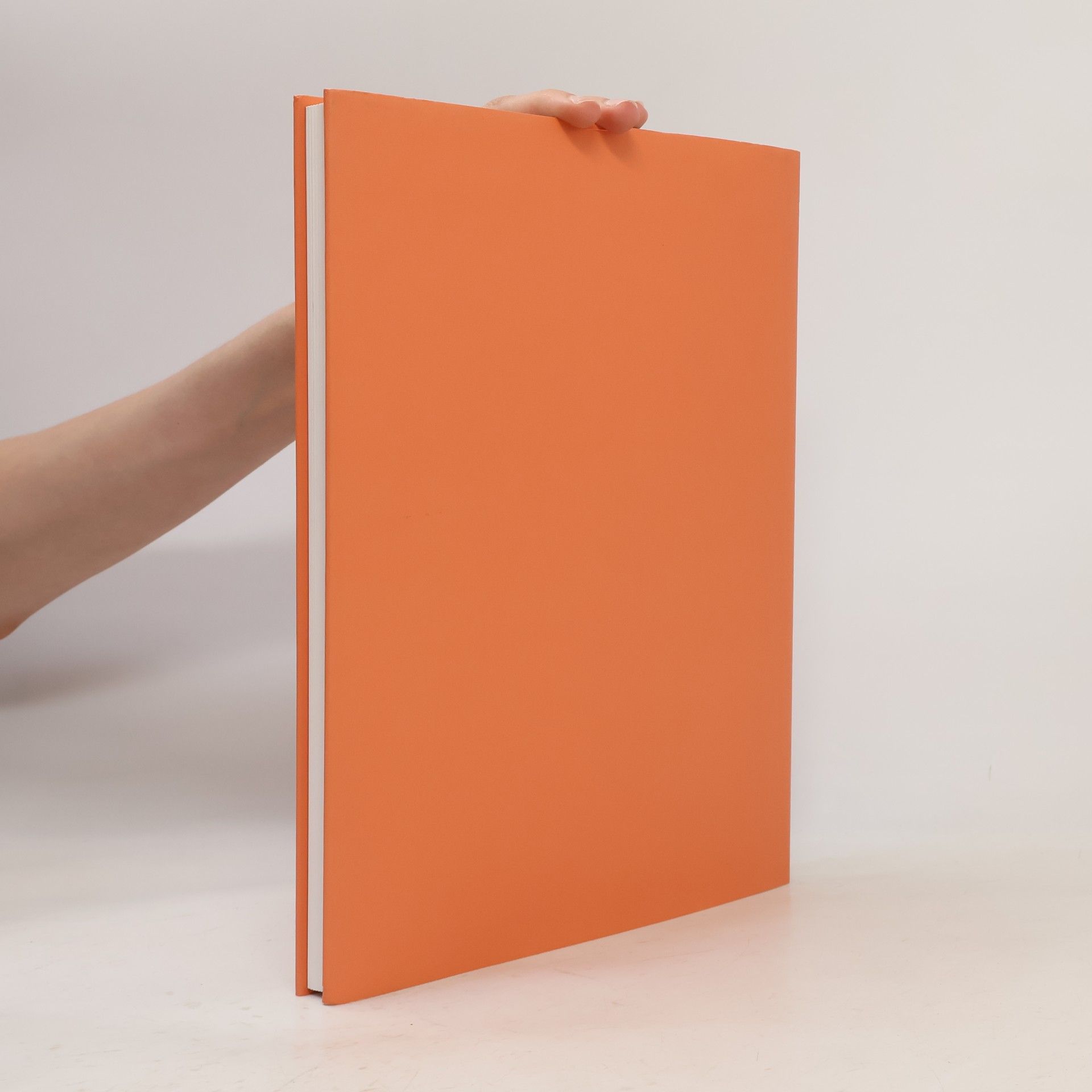 Bice Curiger Meret Oppenheim