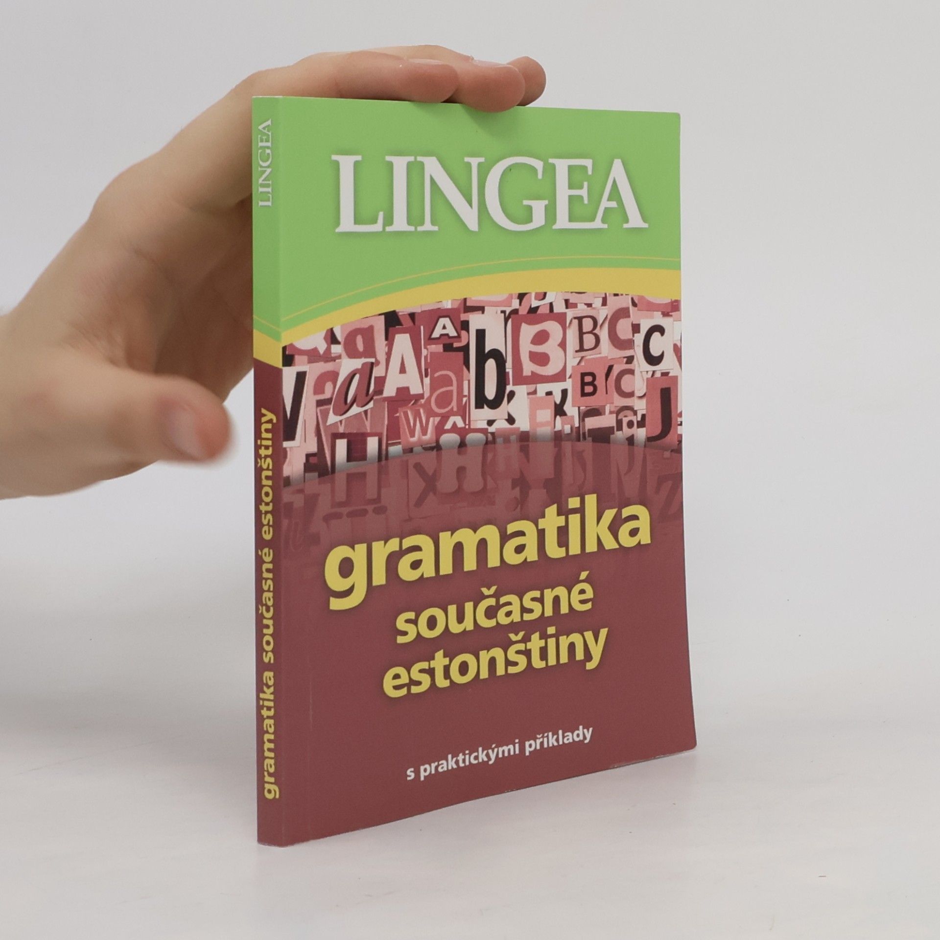 Autorenkollektiv Gramatika současné estonštiny