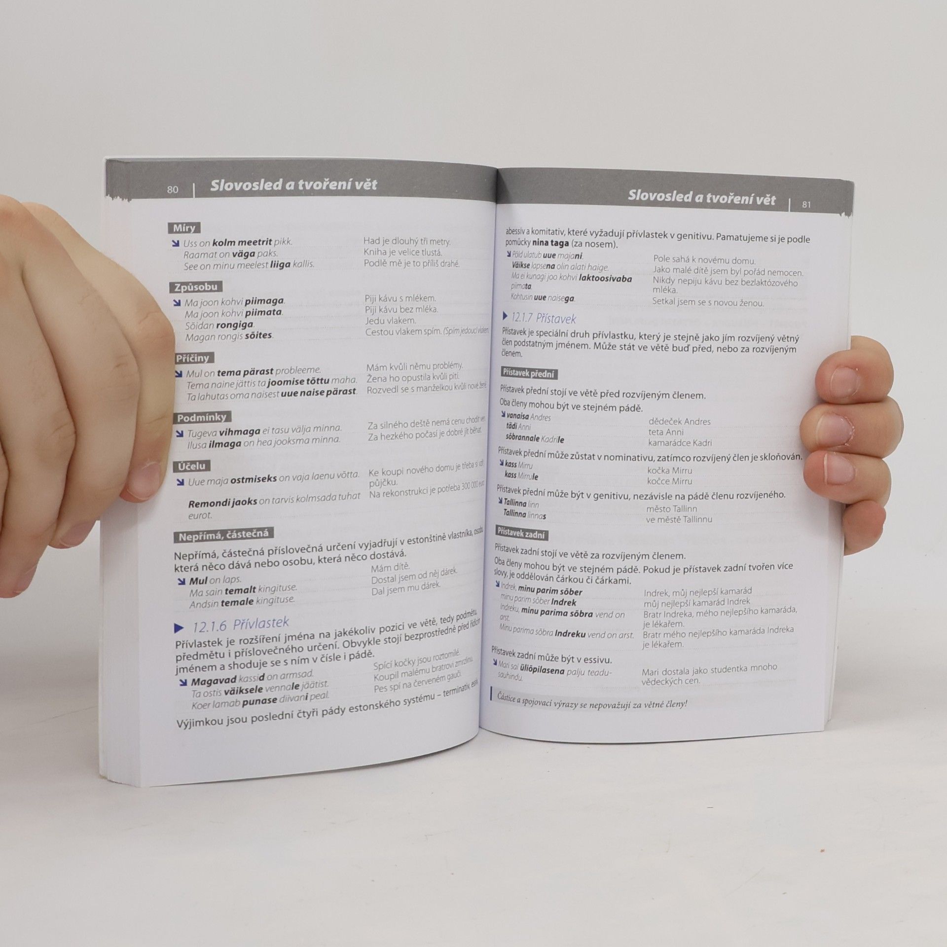Autorenkollektiv Gramatika současné estonštiny