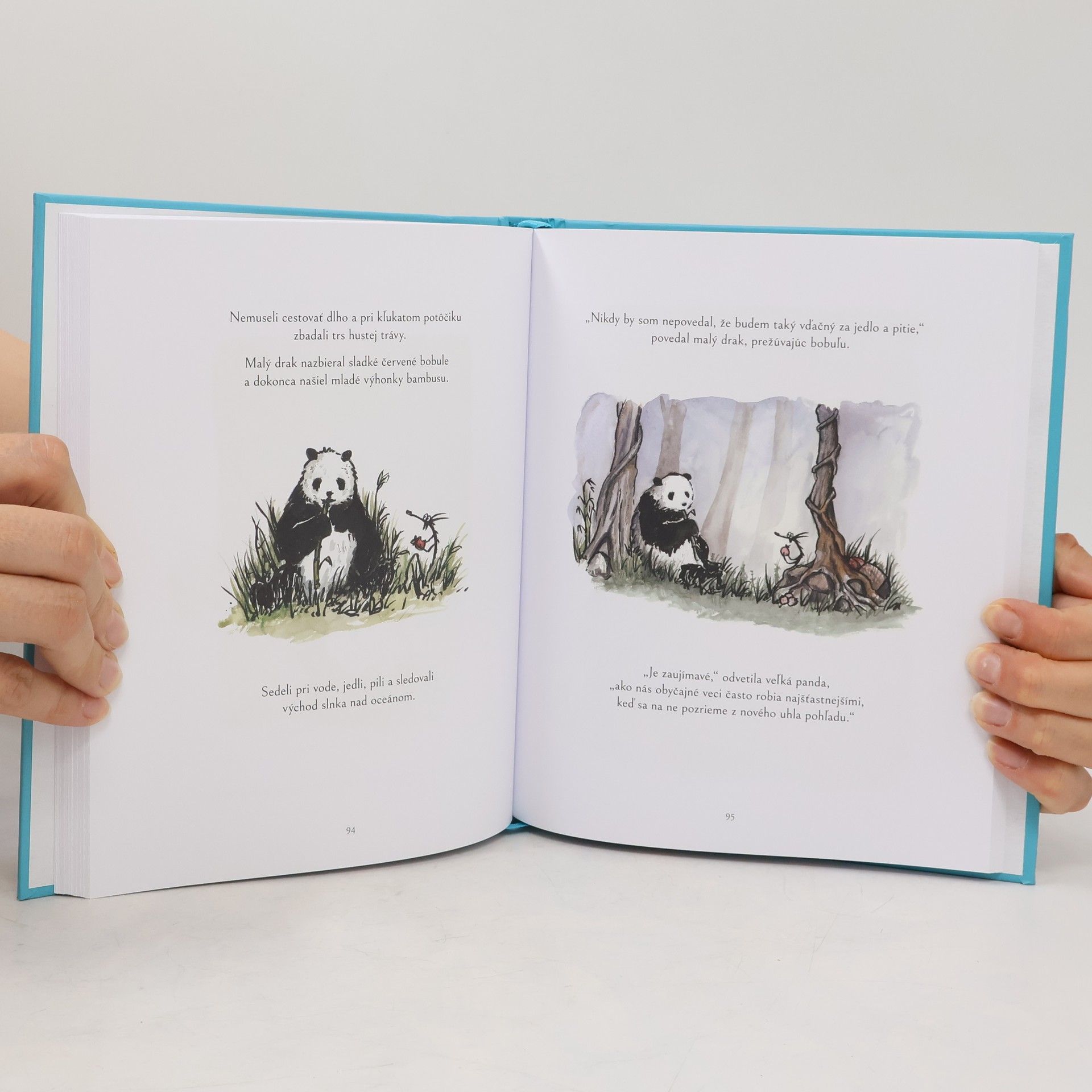 James Norbury Cesta: Vel'ká panda a malý drak