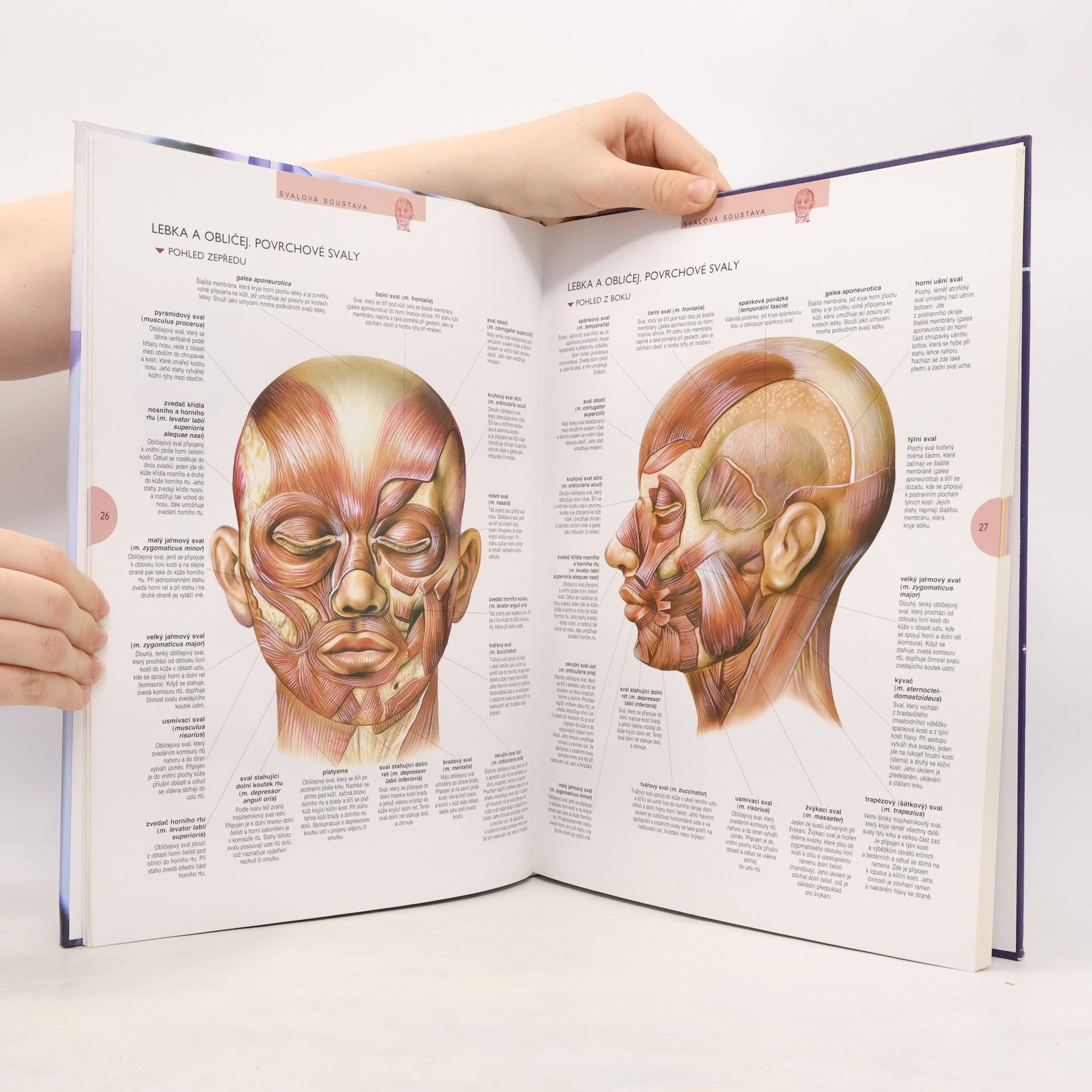 Autorenkollektiv Atlas lidského těla