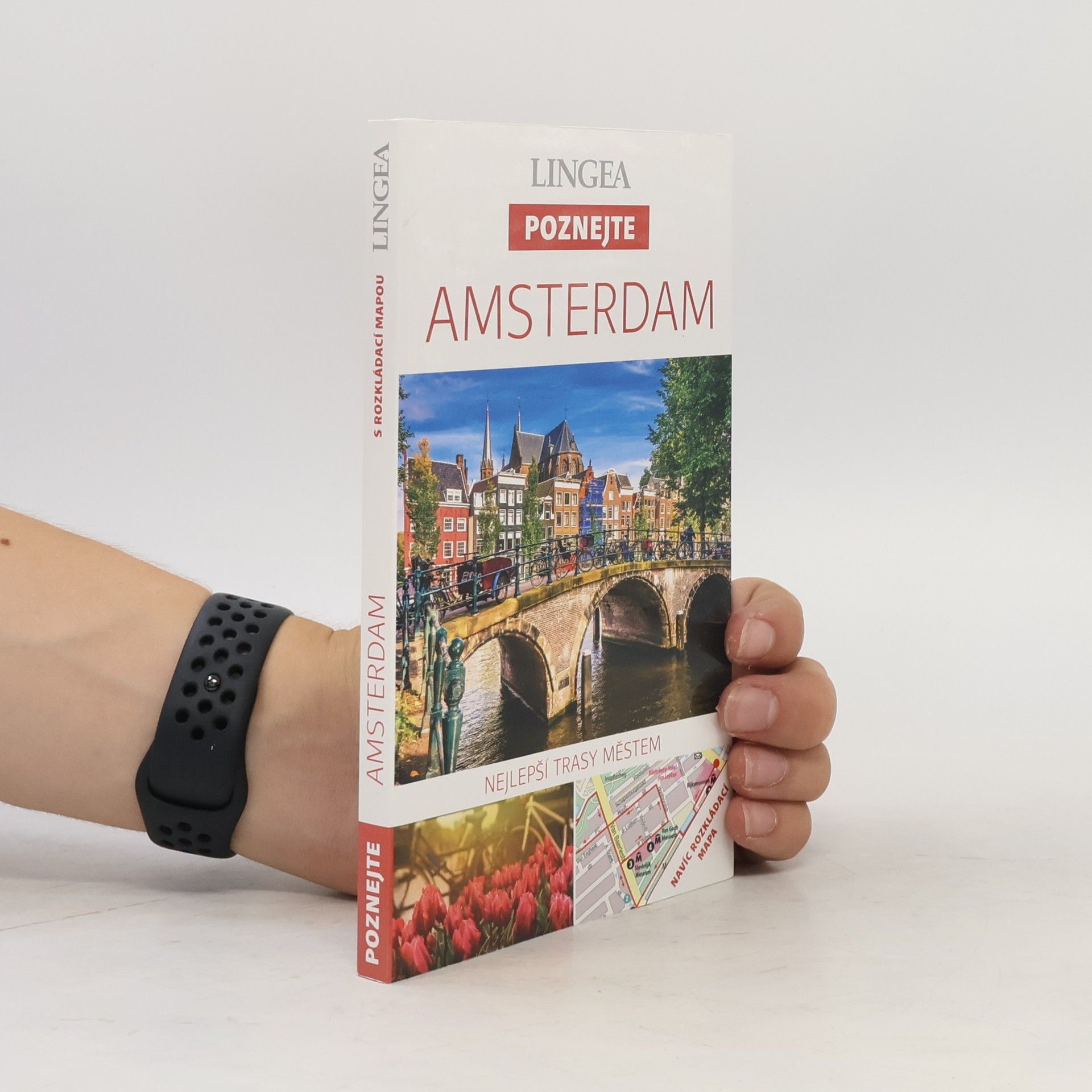 Autorenkollektiv Amsterdam