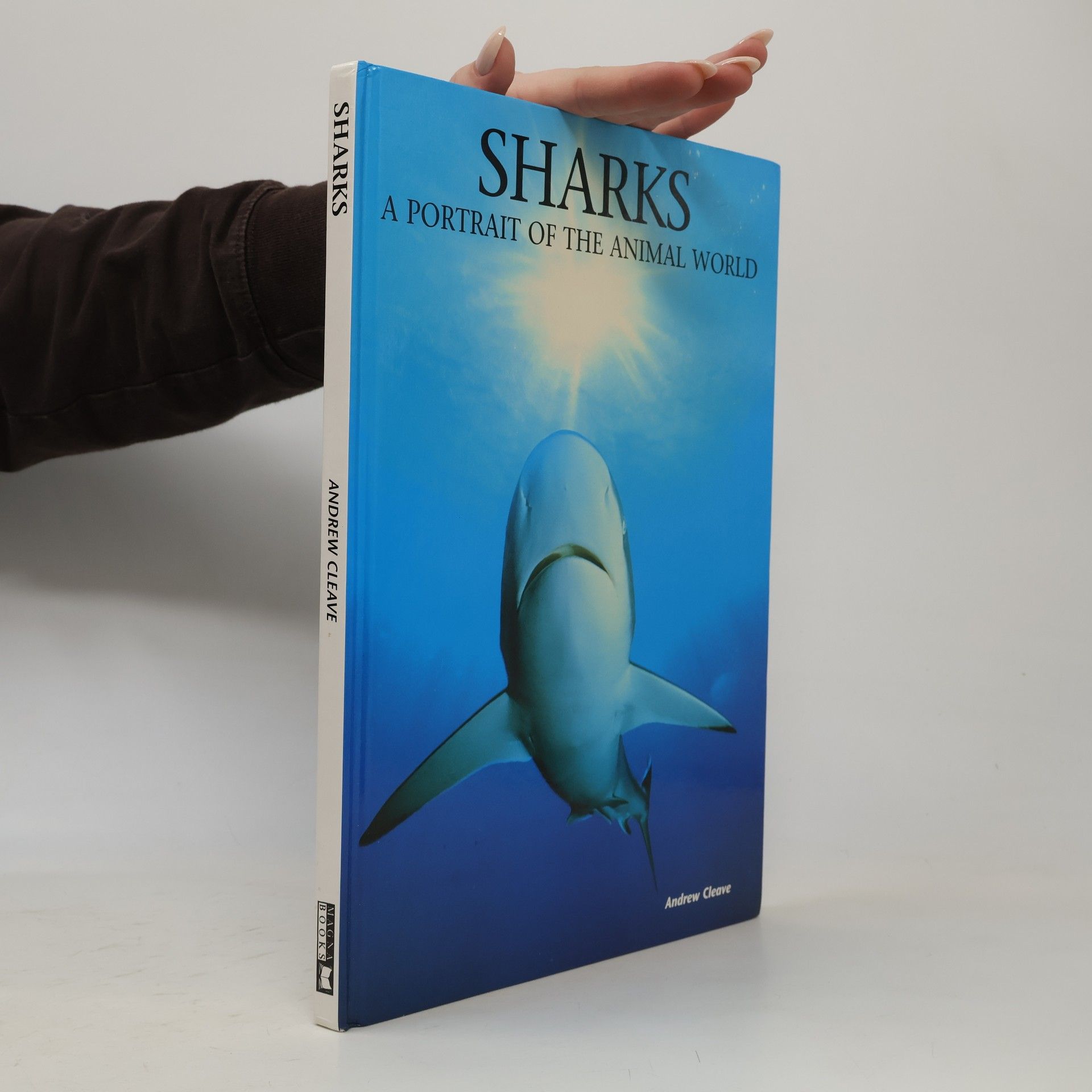 Andrew Cleave Sharks