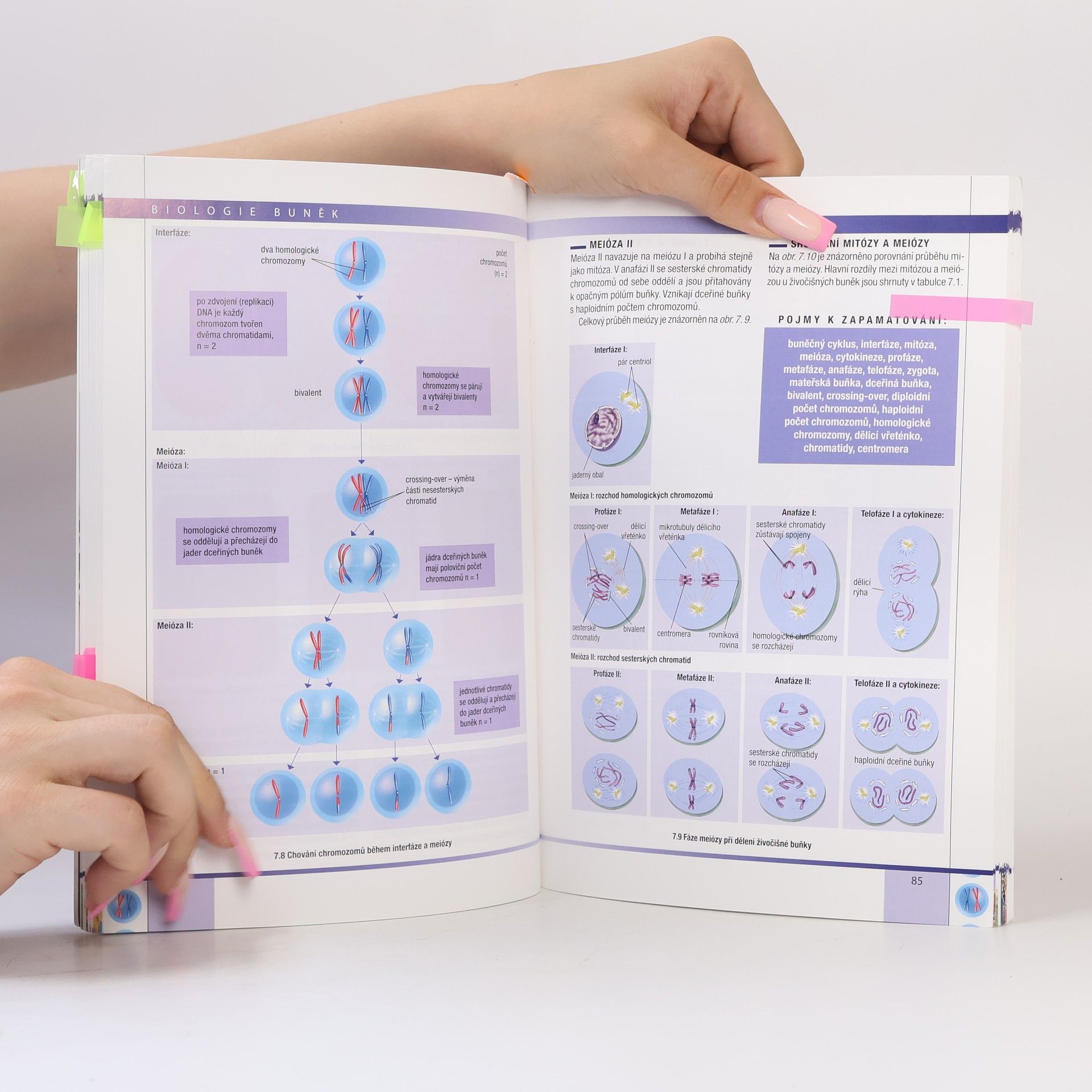 Radka Závodská Biologie buněk: Základy cytologie, bakteriologie, virologie