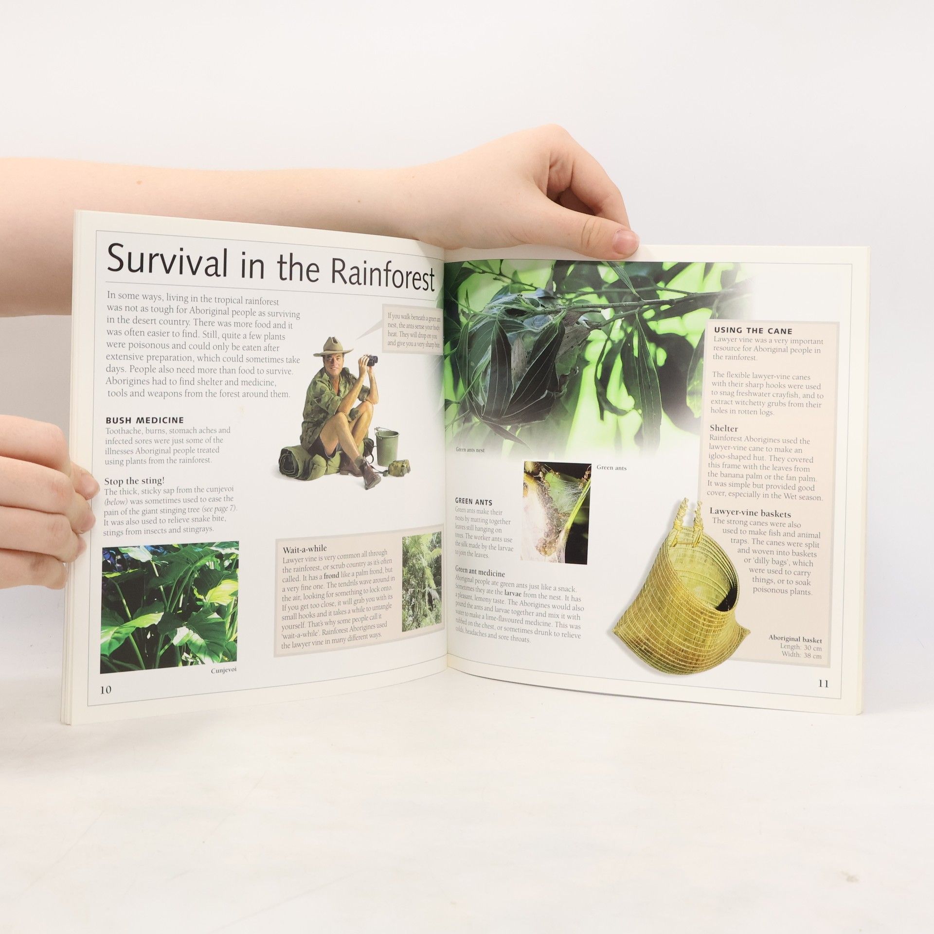 Les Hiddins The Tropical Rainforest