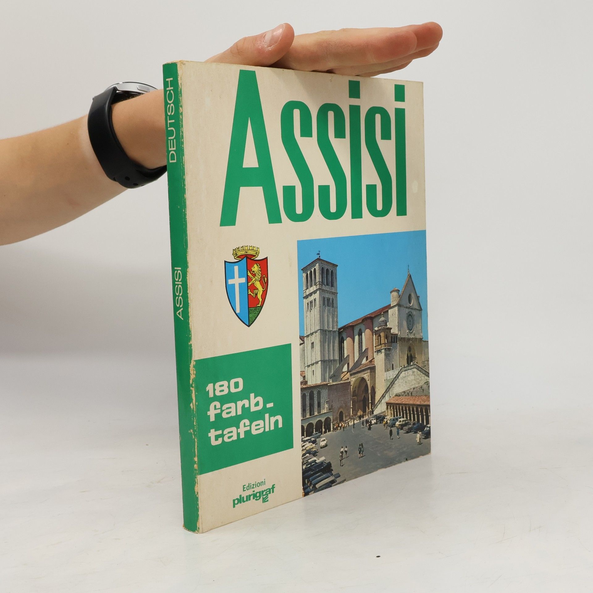 Kolektív autorov Assisi