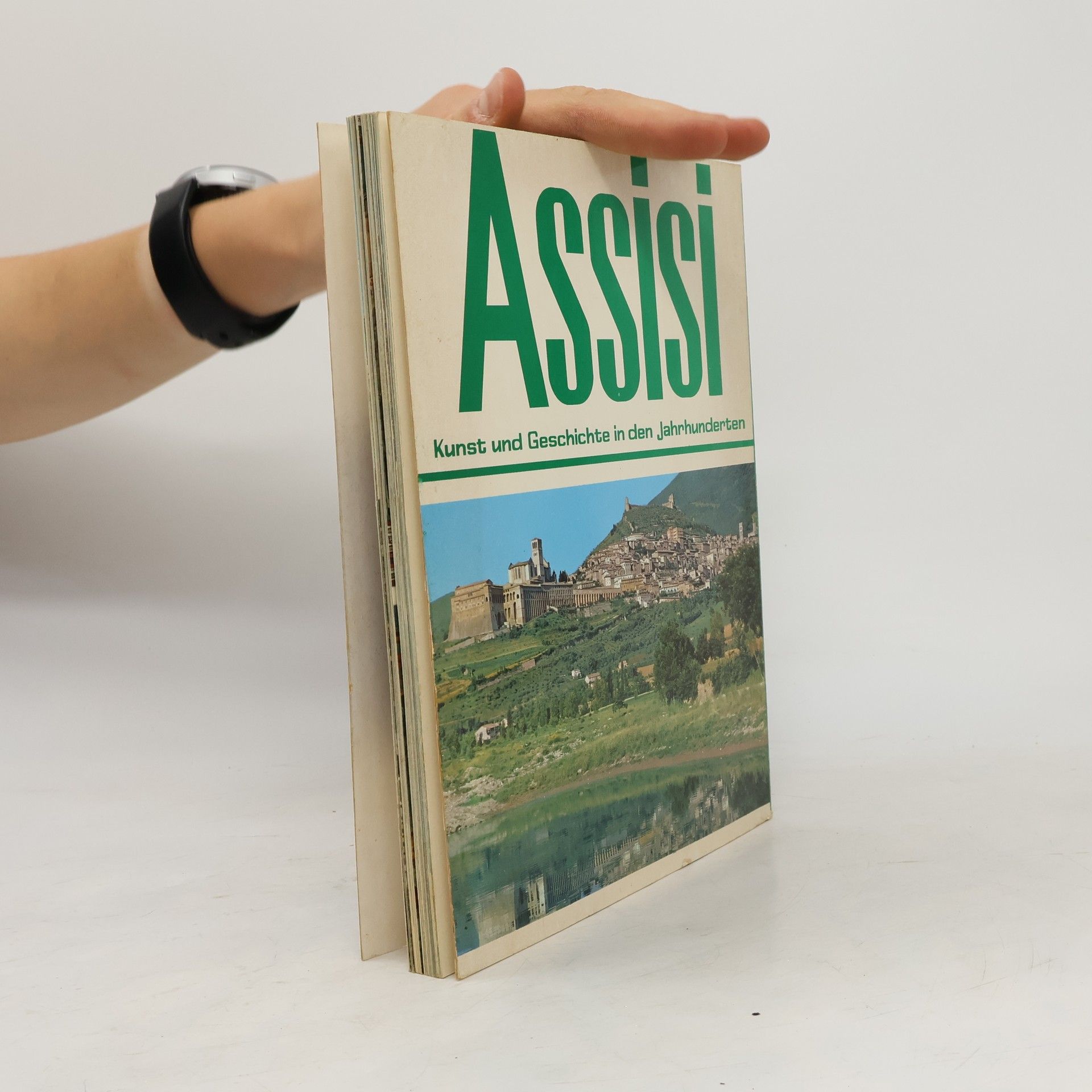 Kolektív autorov Assisi