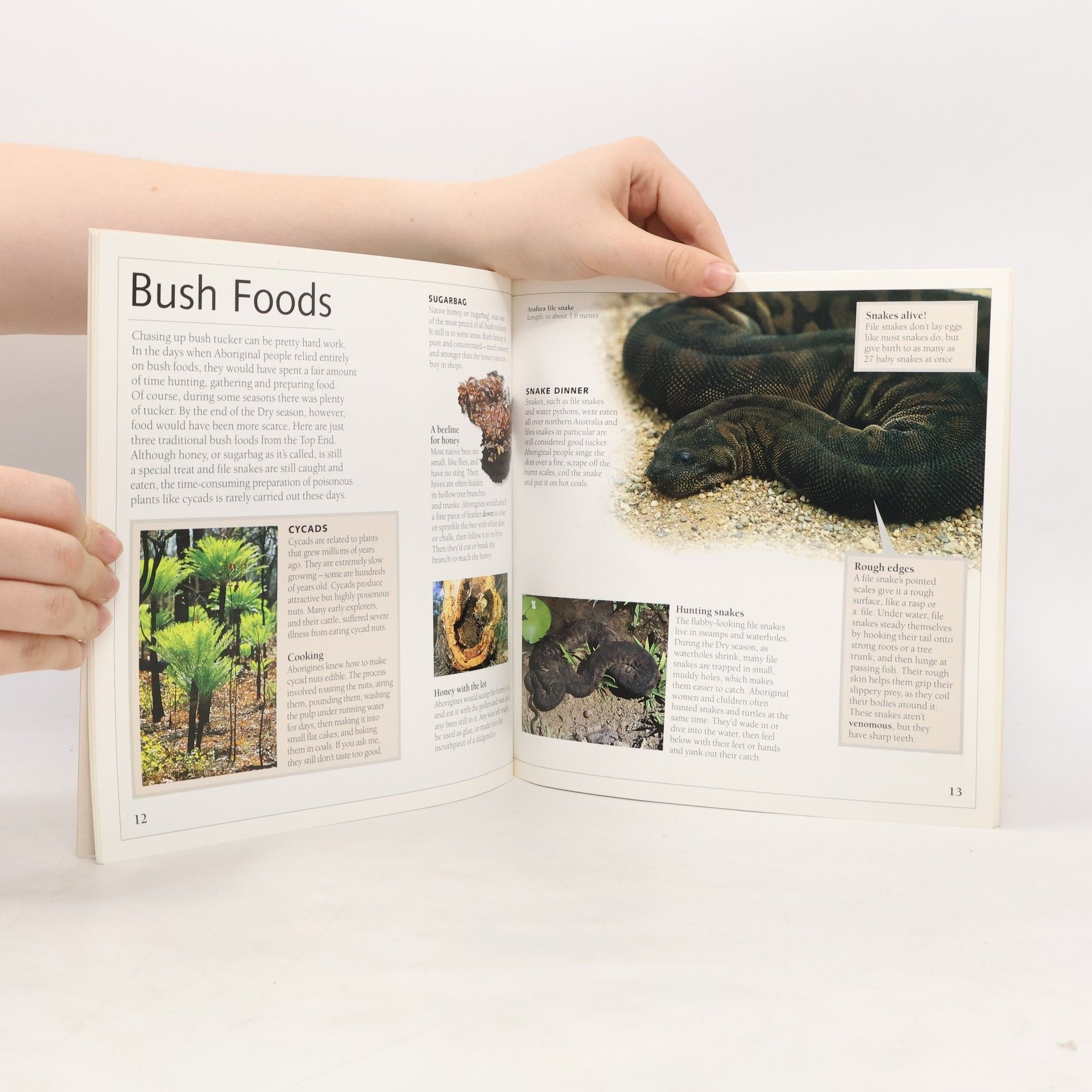 Les Hiddins Discover Wild Australia with the Bush Tucker Man: The Top End