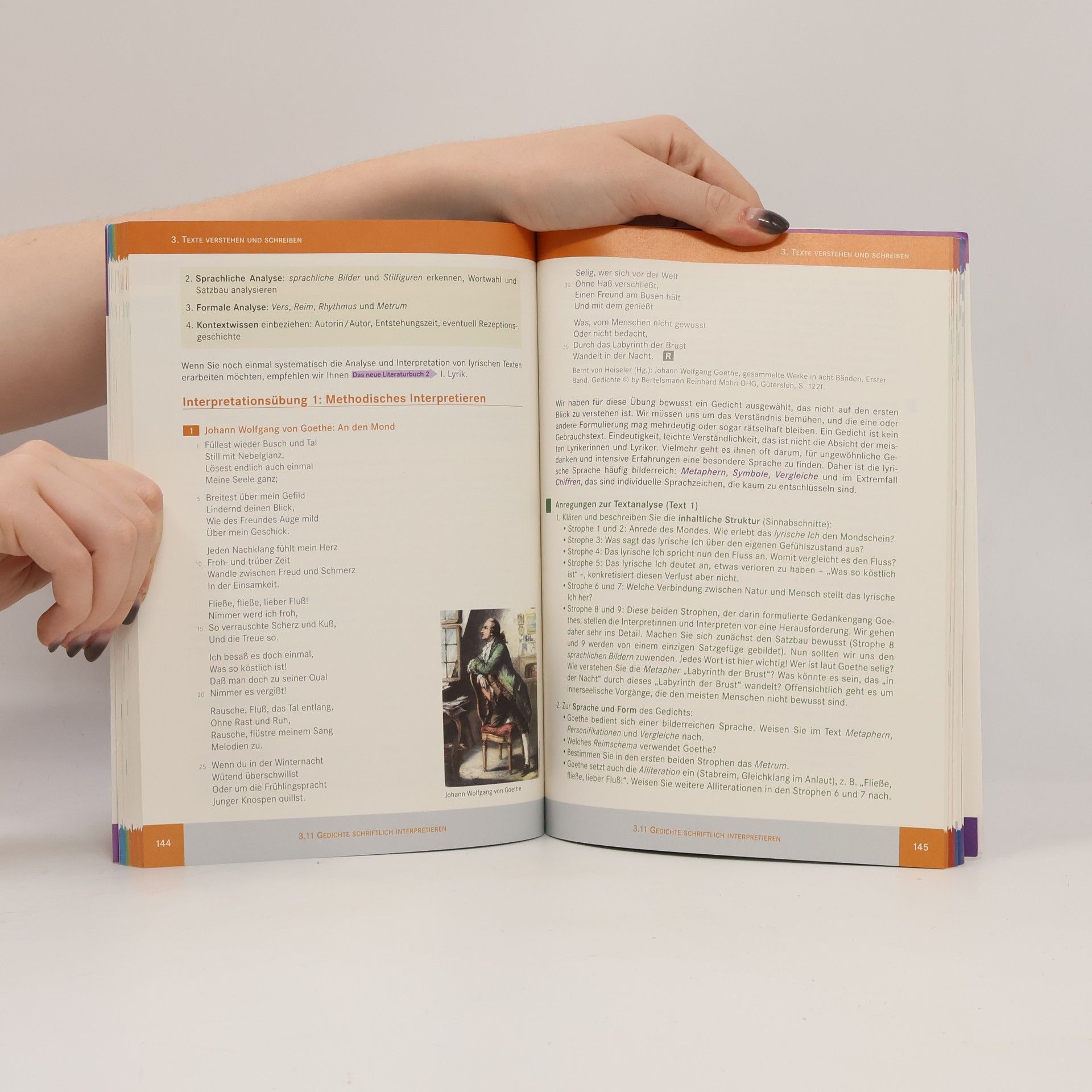 Autorenkollektiv Das Sprachbuch. 3, bis zur Matura