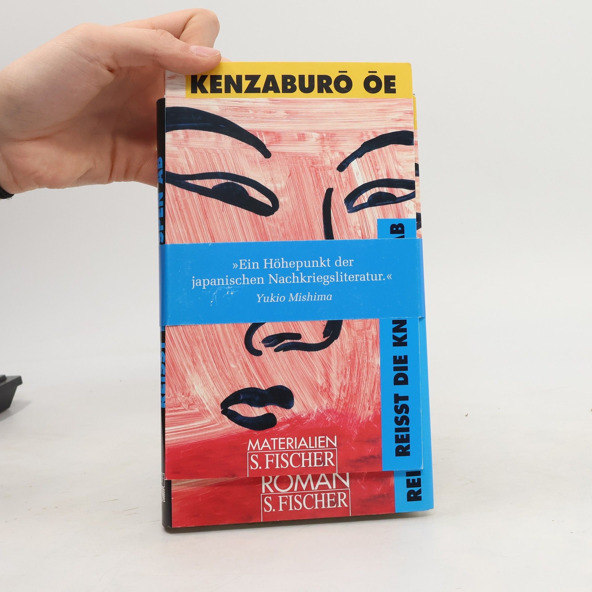 Kenzaburó Óe Reißt die Knospen ab...