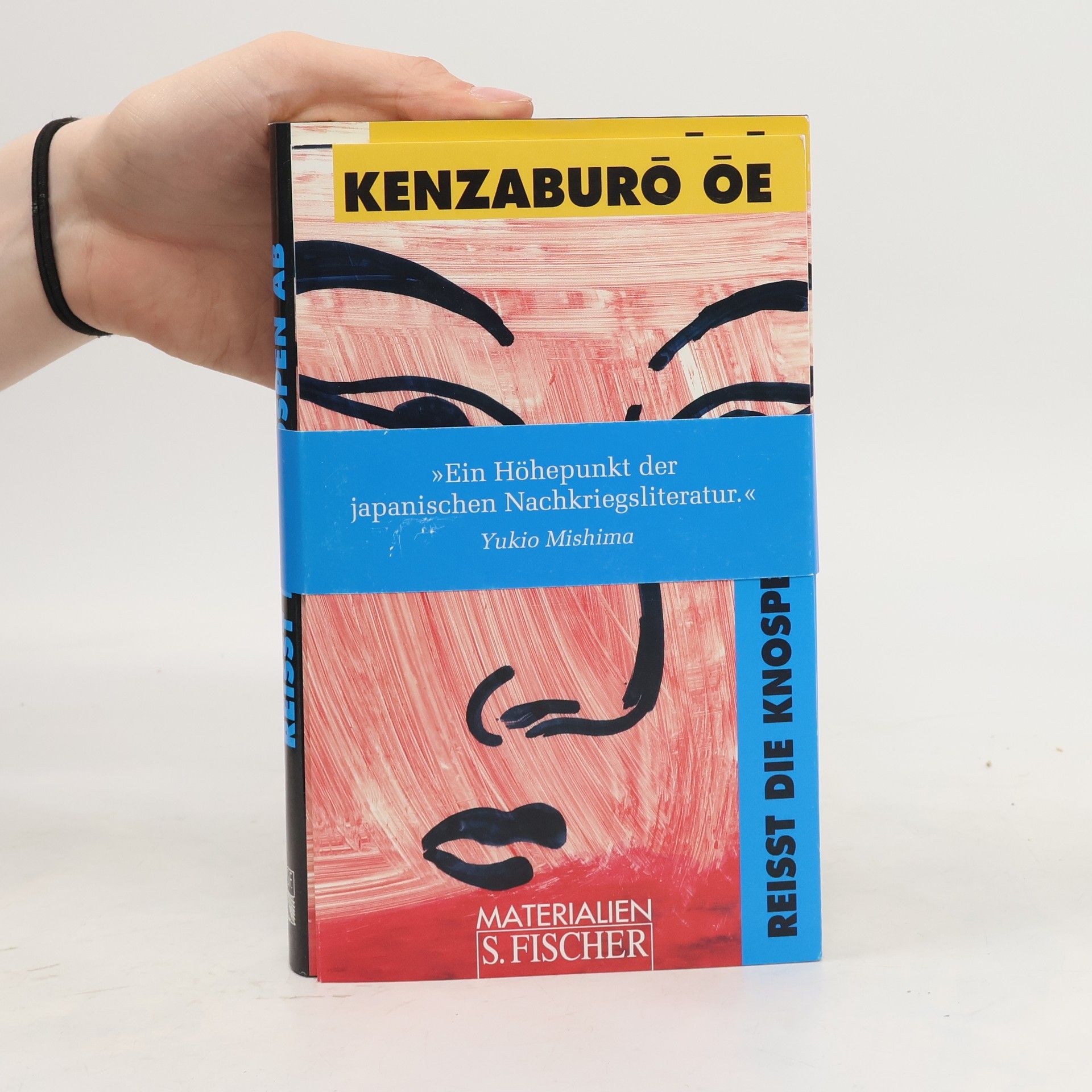 Kenzaburó Óe Reißt die Knospen ab...