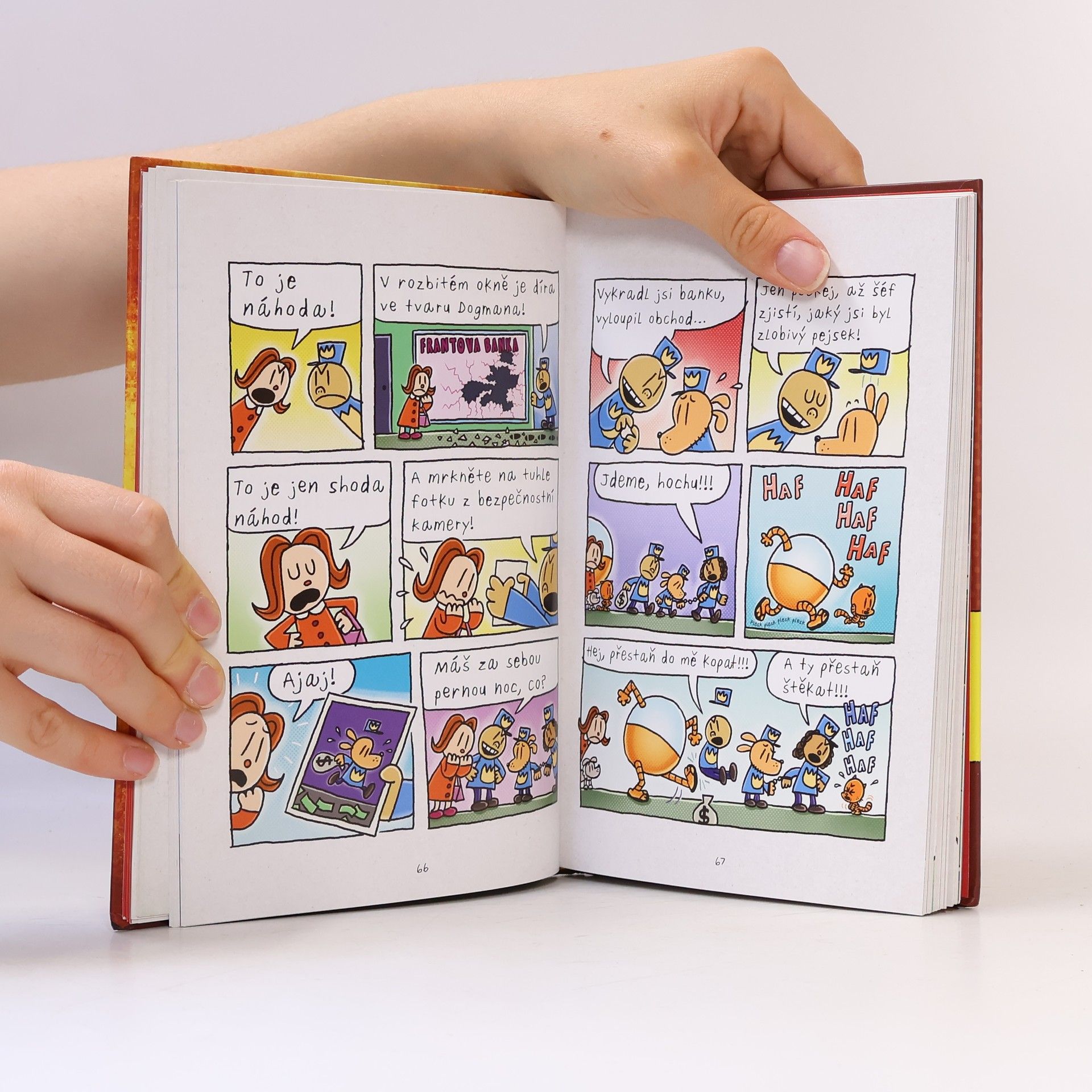 Dav Pilkey Dogman : volání kočičiny