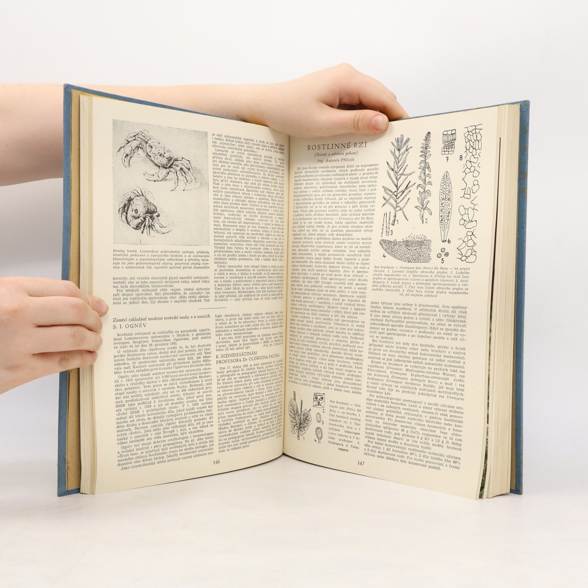 Autorenkollektiv Vesmir 1951 -53