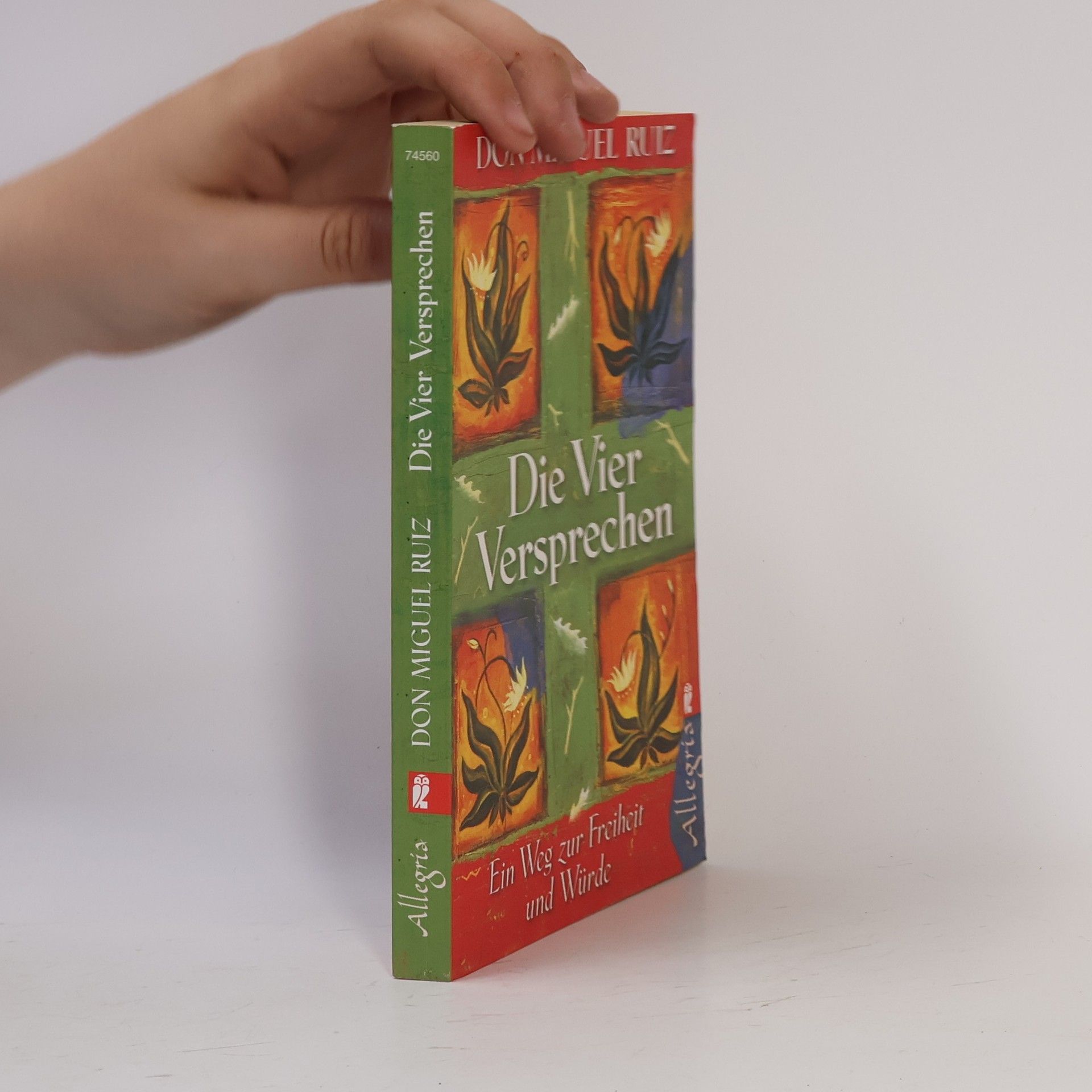 Don Miguel Ruiz Die vier Versprechen