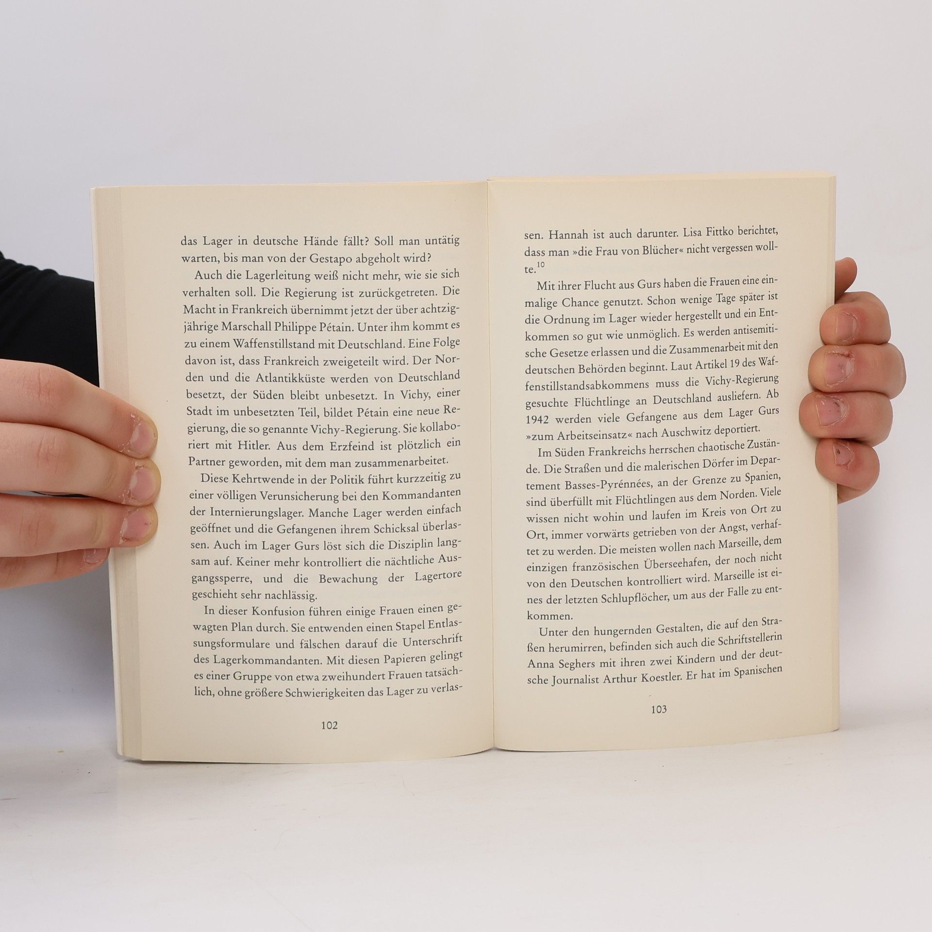 Alois Prinz Hannah Arendt oder Die Liebe zur Welt