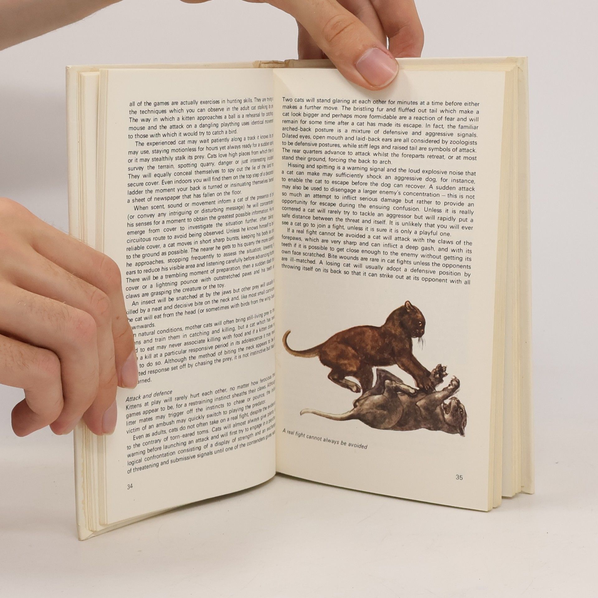 Howard Loxton Guide to the Cats of the World
