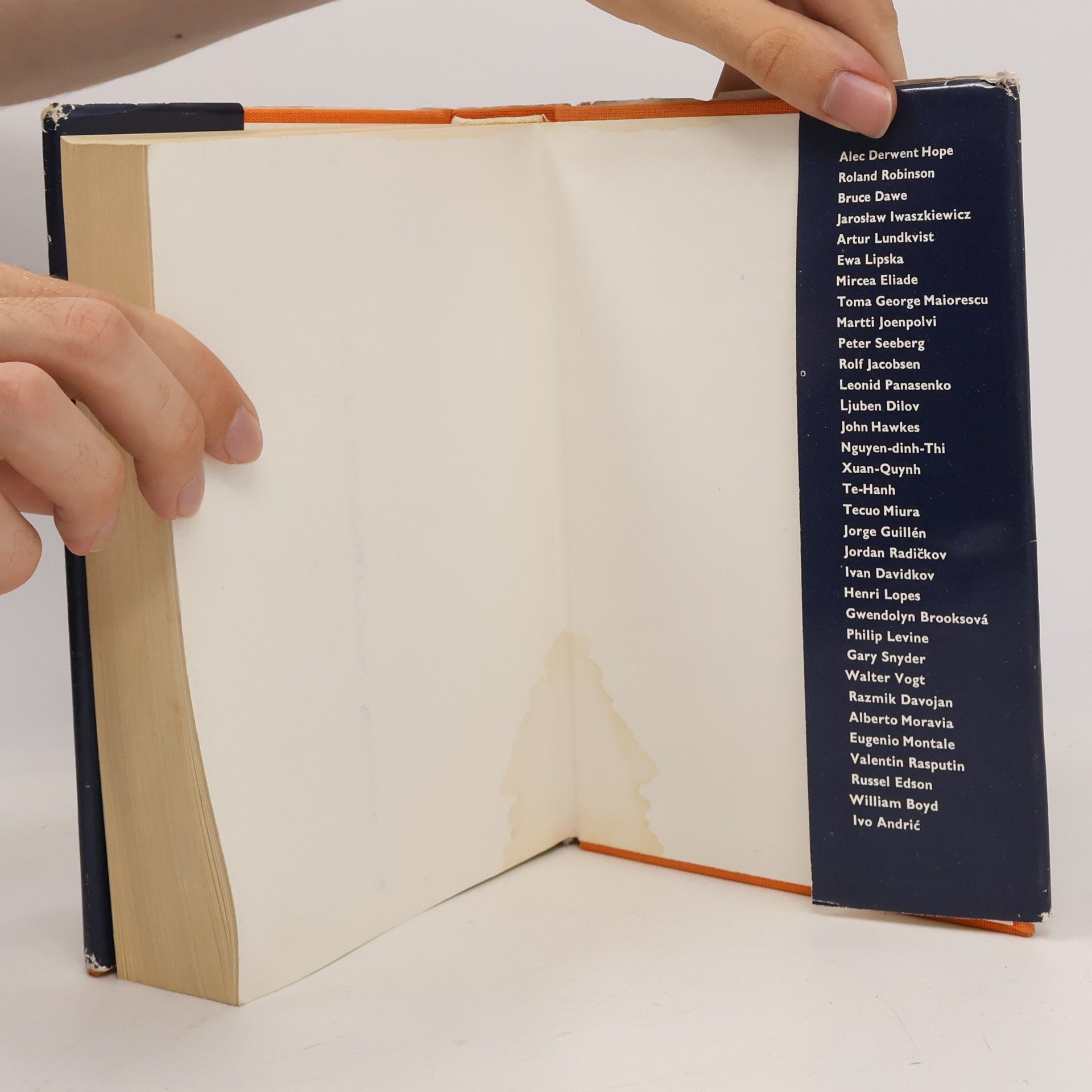 Autorenkollektiv Almanach Světové literatury