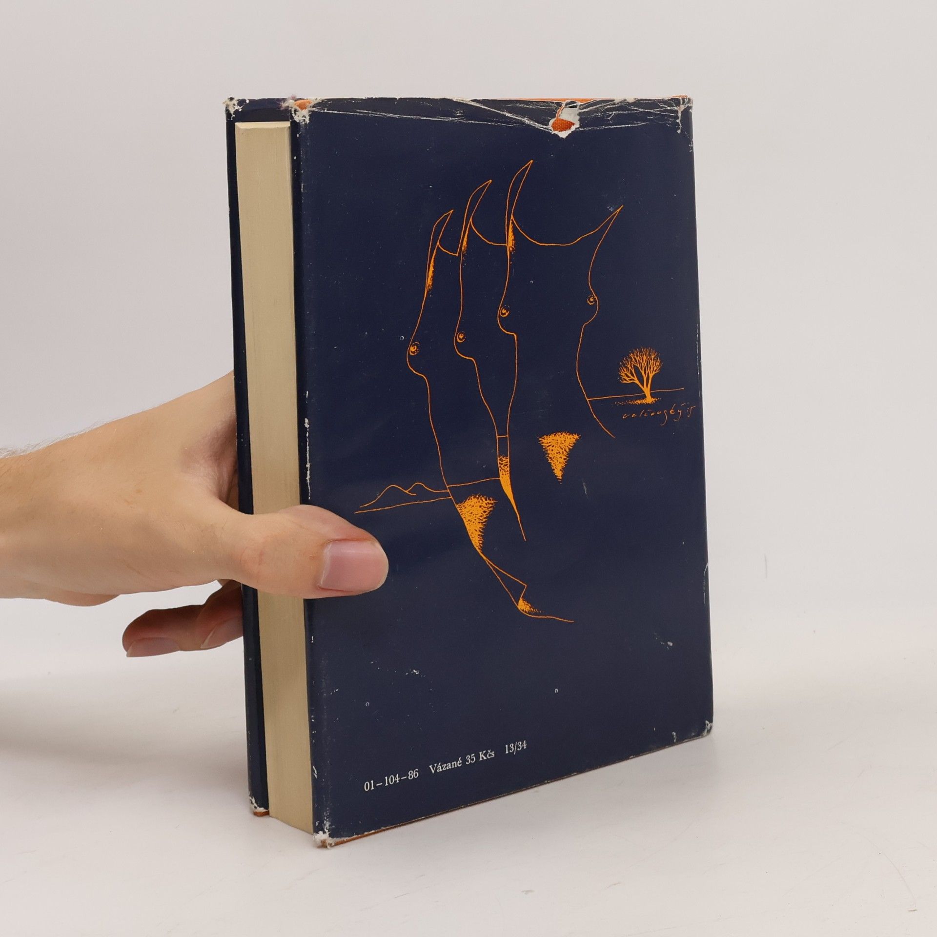 Autorenkollektiv Almanach Světové literatury