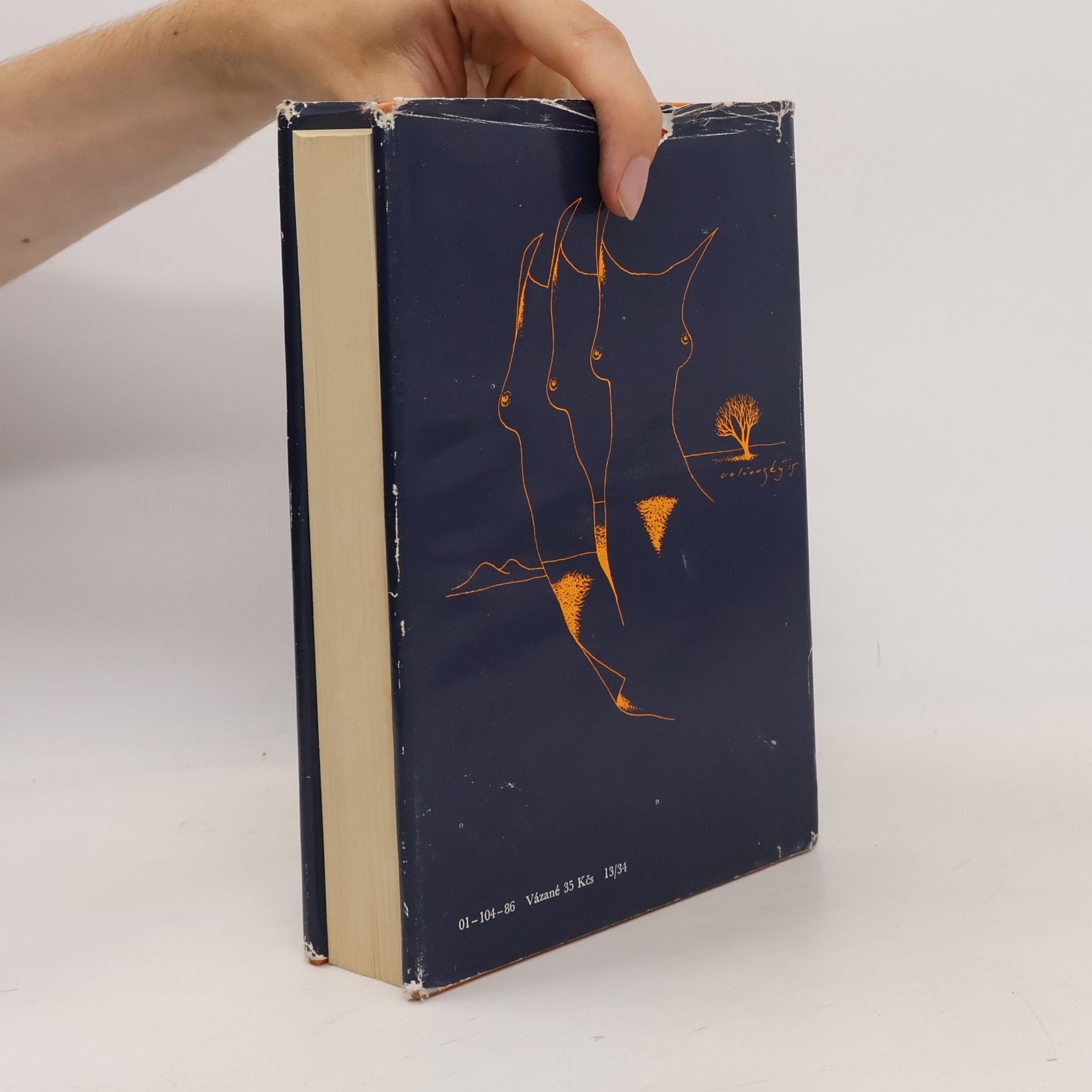 Autorenkollektiv Almanach Světové literatury