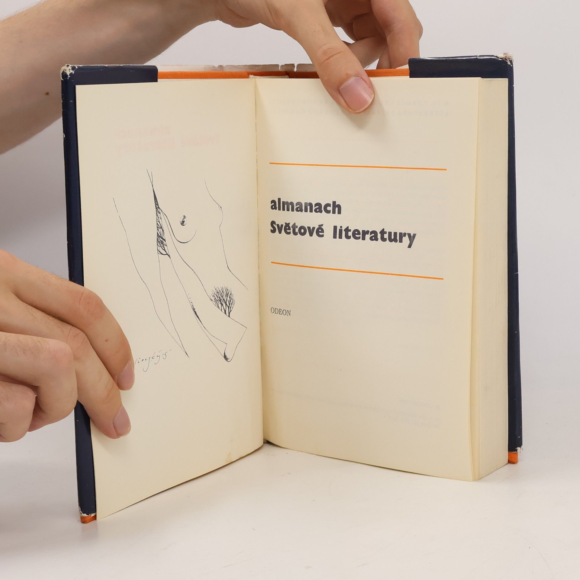 Autorenkollektiv Almanach Světové literatury