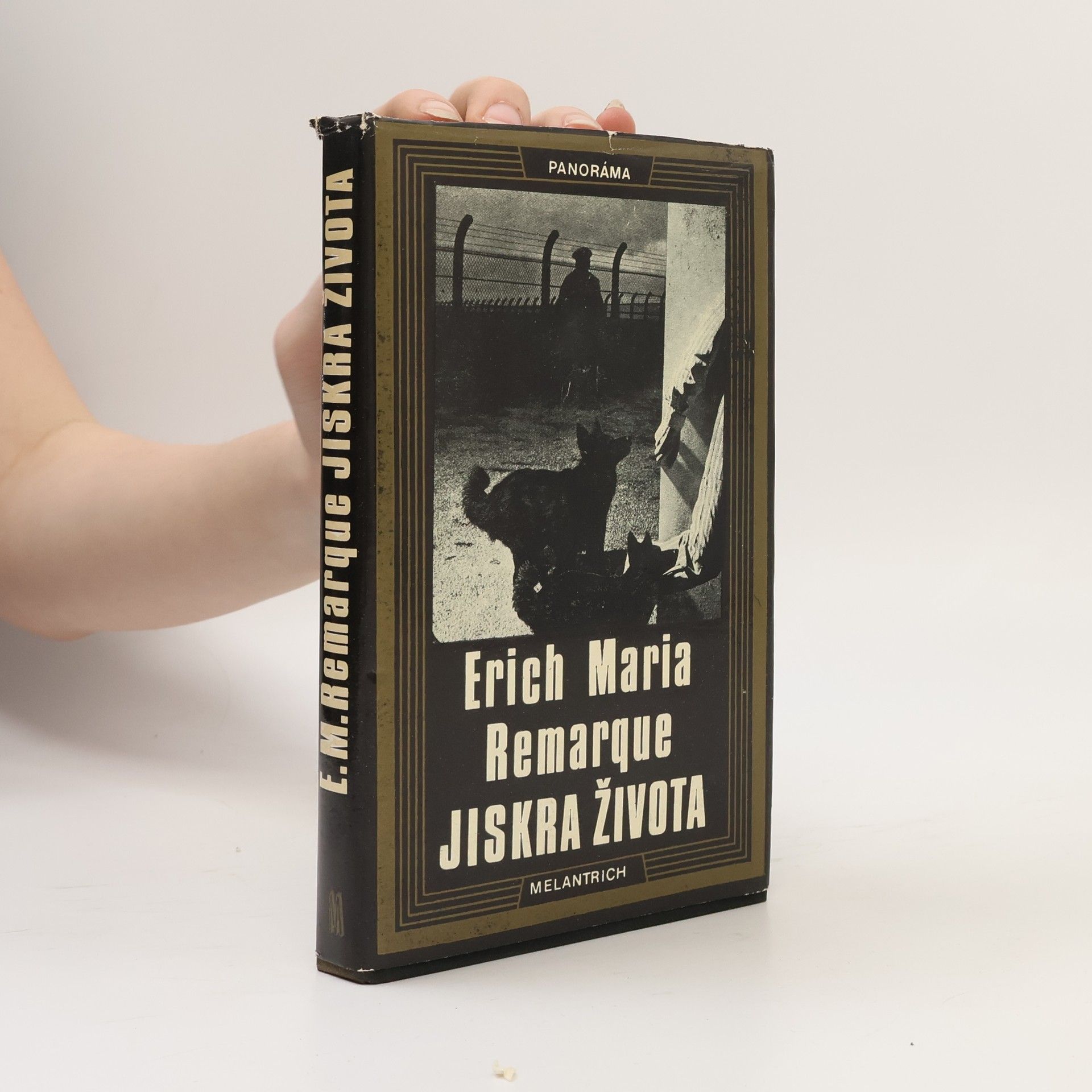 Erich Maria Remarque Jiskra života