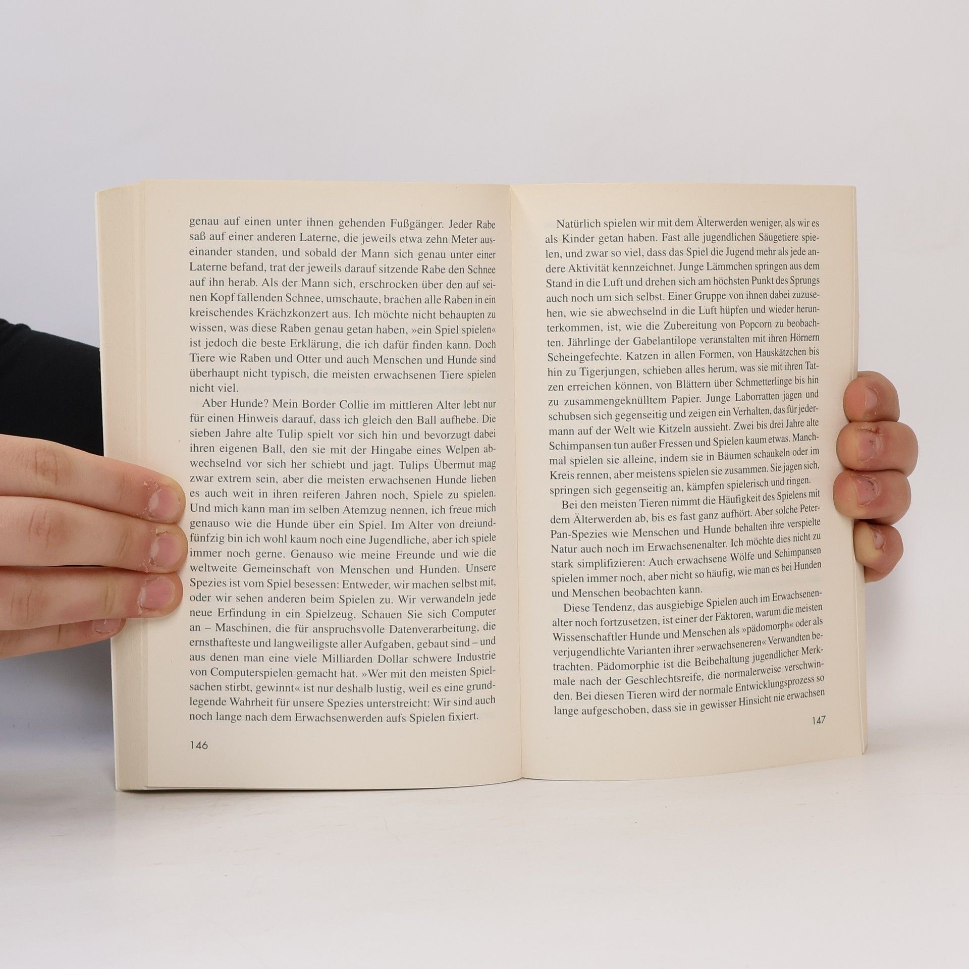 Patricia McConnel Das andere Ende der Leine