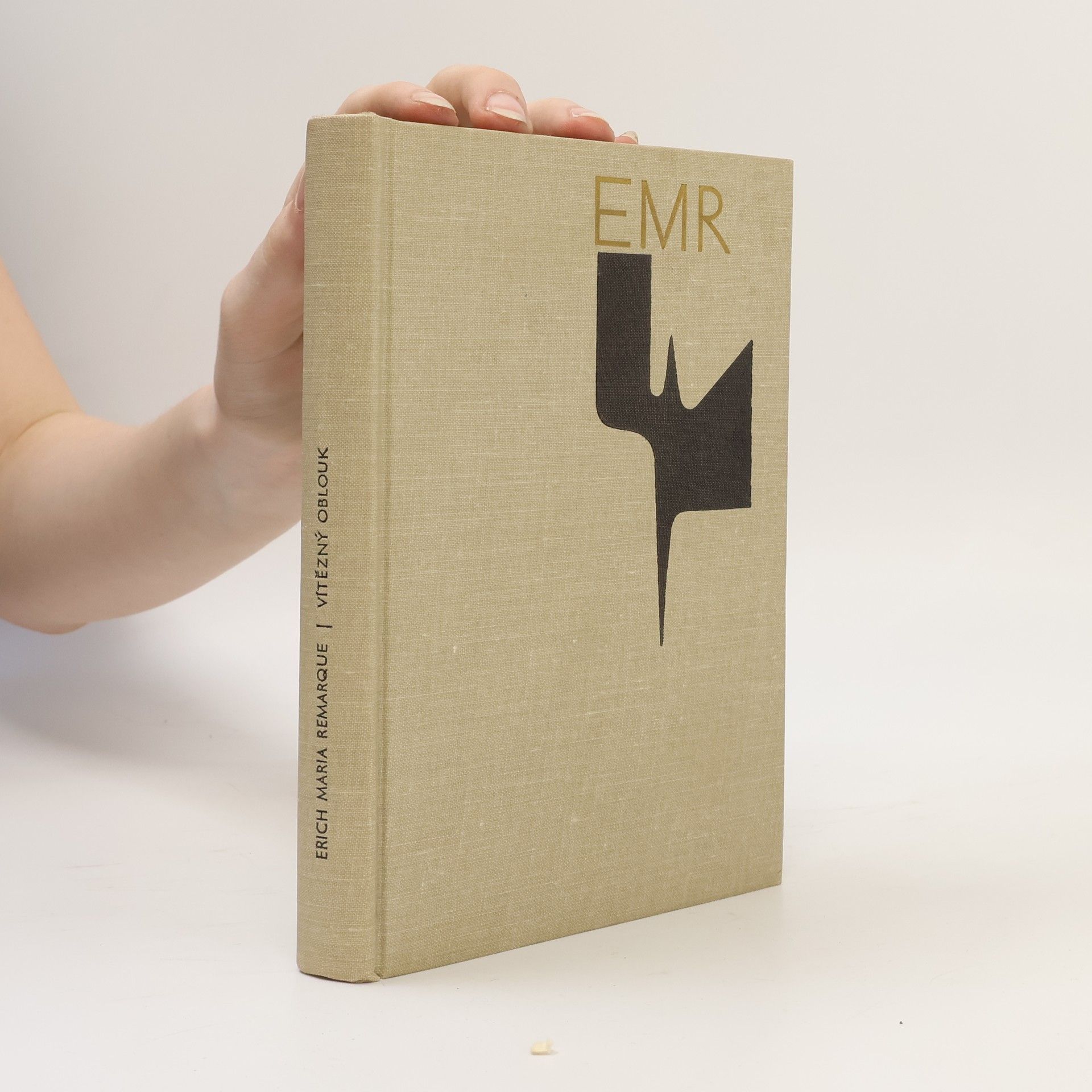 Erich Maria Remarque Vítězný oblouk