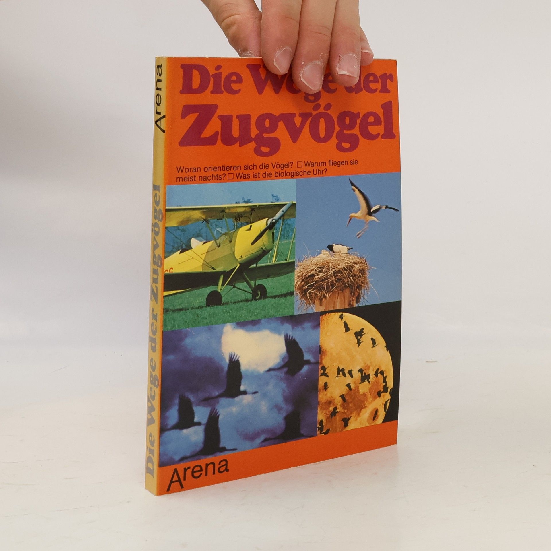 Guido Petter Die Wege der Zugvögel