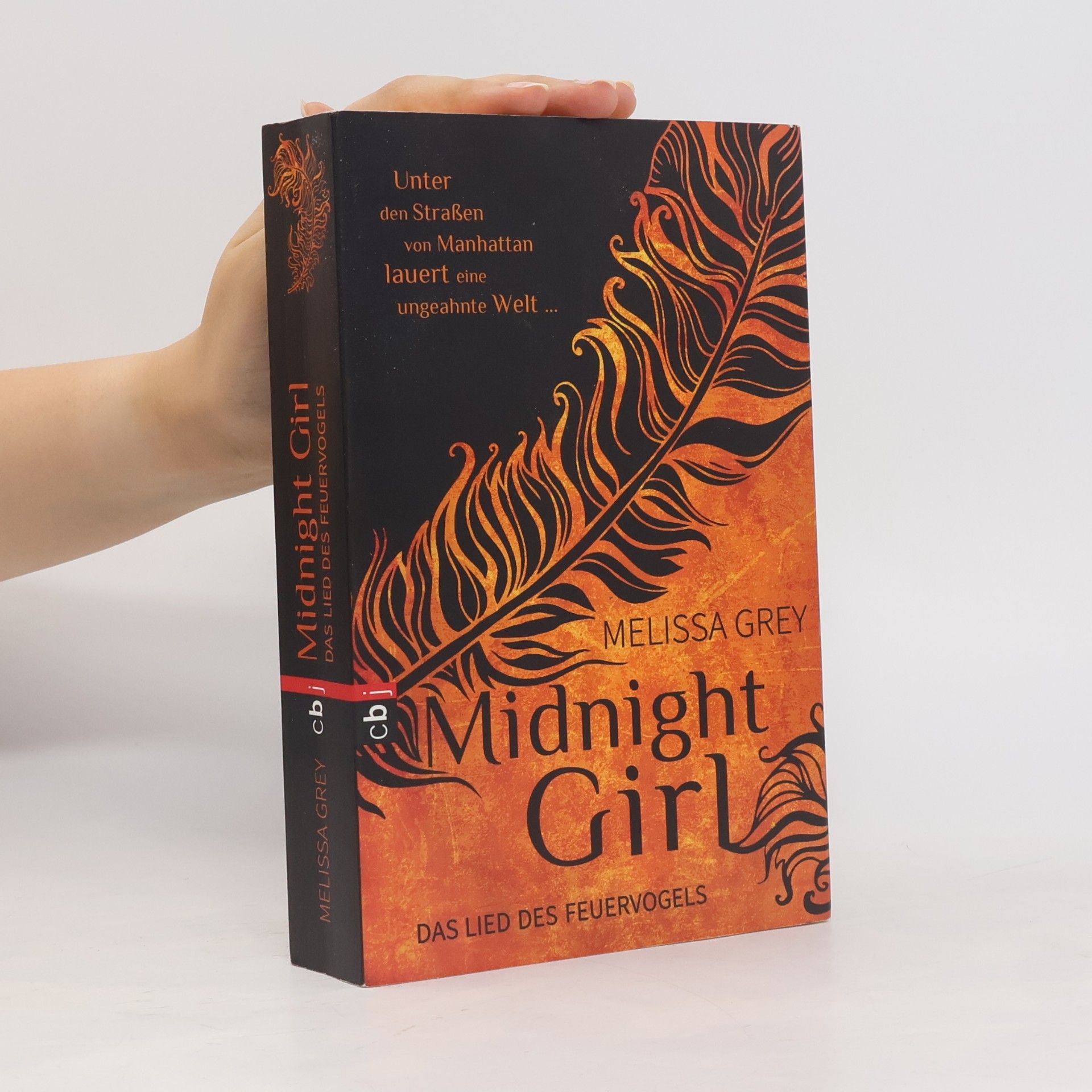 Melissa Grey Midnight Girl: Das Lied des Feuervogels