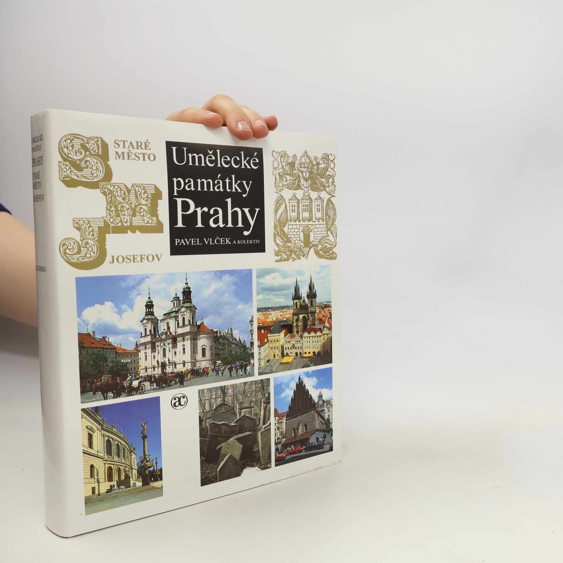 Pavel Vlček Umělecké památky Prahy. Staré město - Josefov.