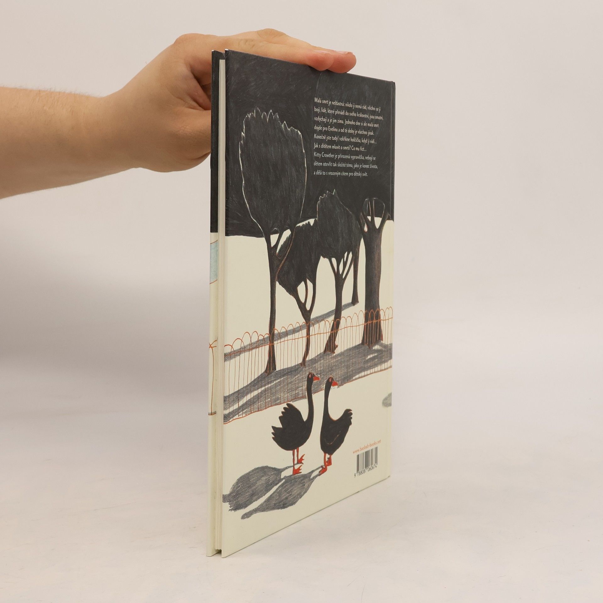 Kitty Crowther Návštěva malé smrti