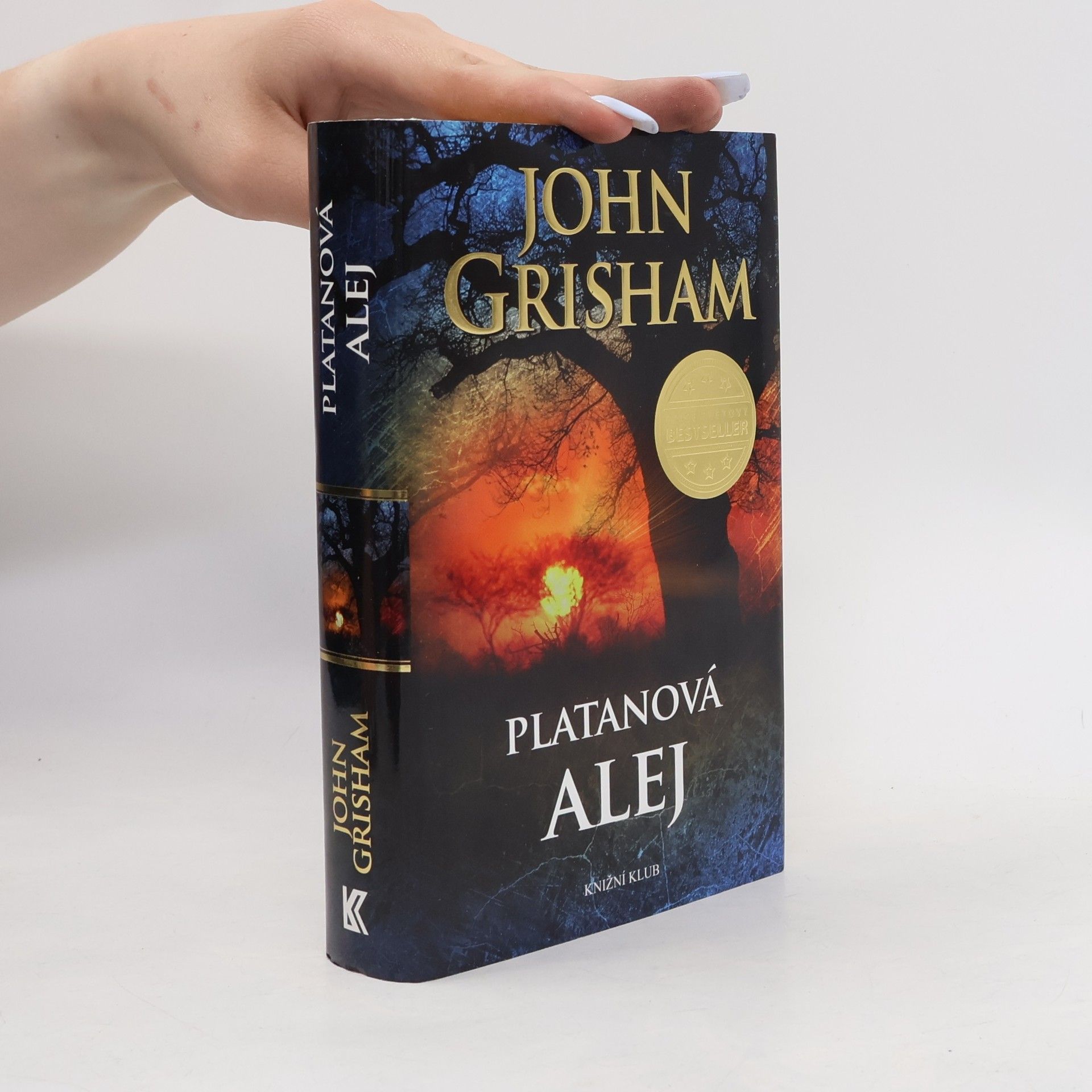 John Grisham Platanová alej