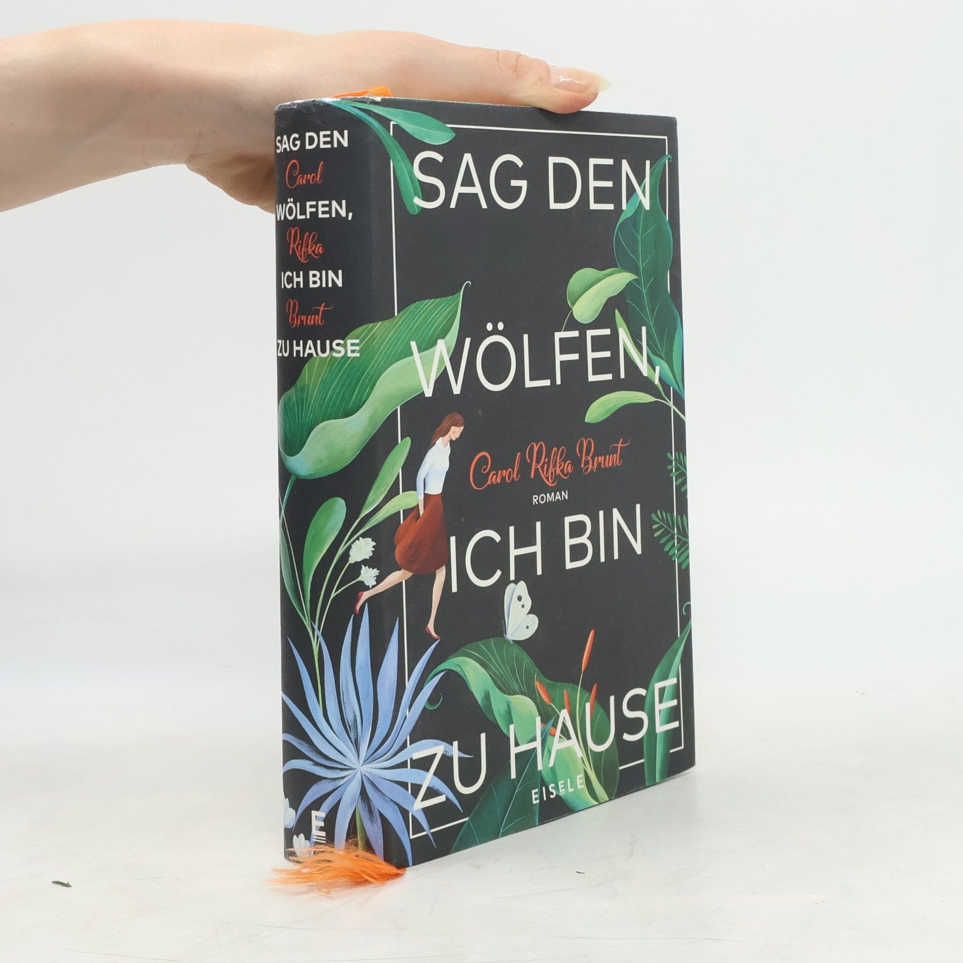 Carol Rifka Brunt Sag den Wölfen, ich bin zu Hause