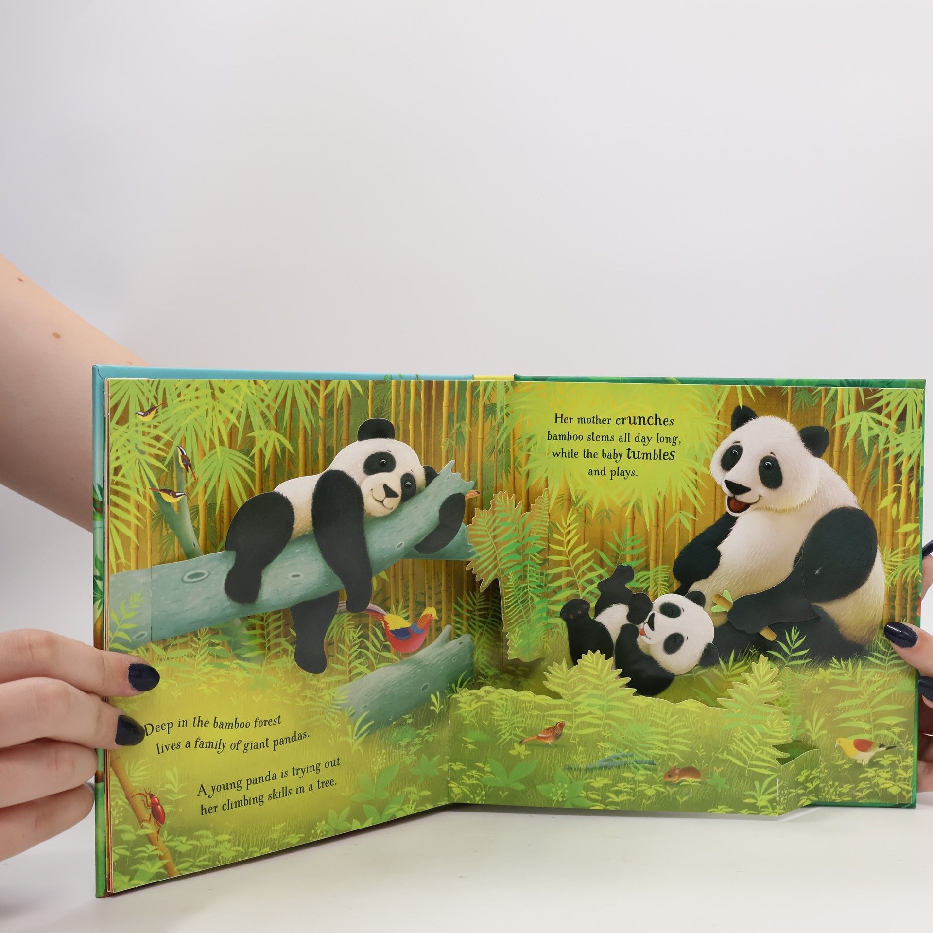 Anna Milbourne Pop-Up Animals