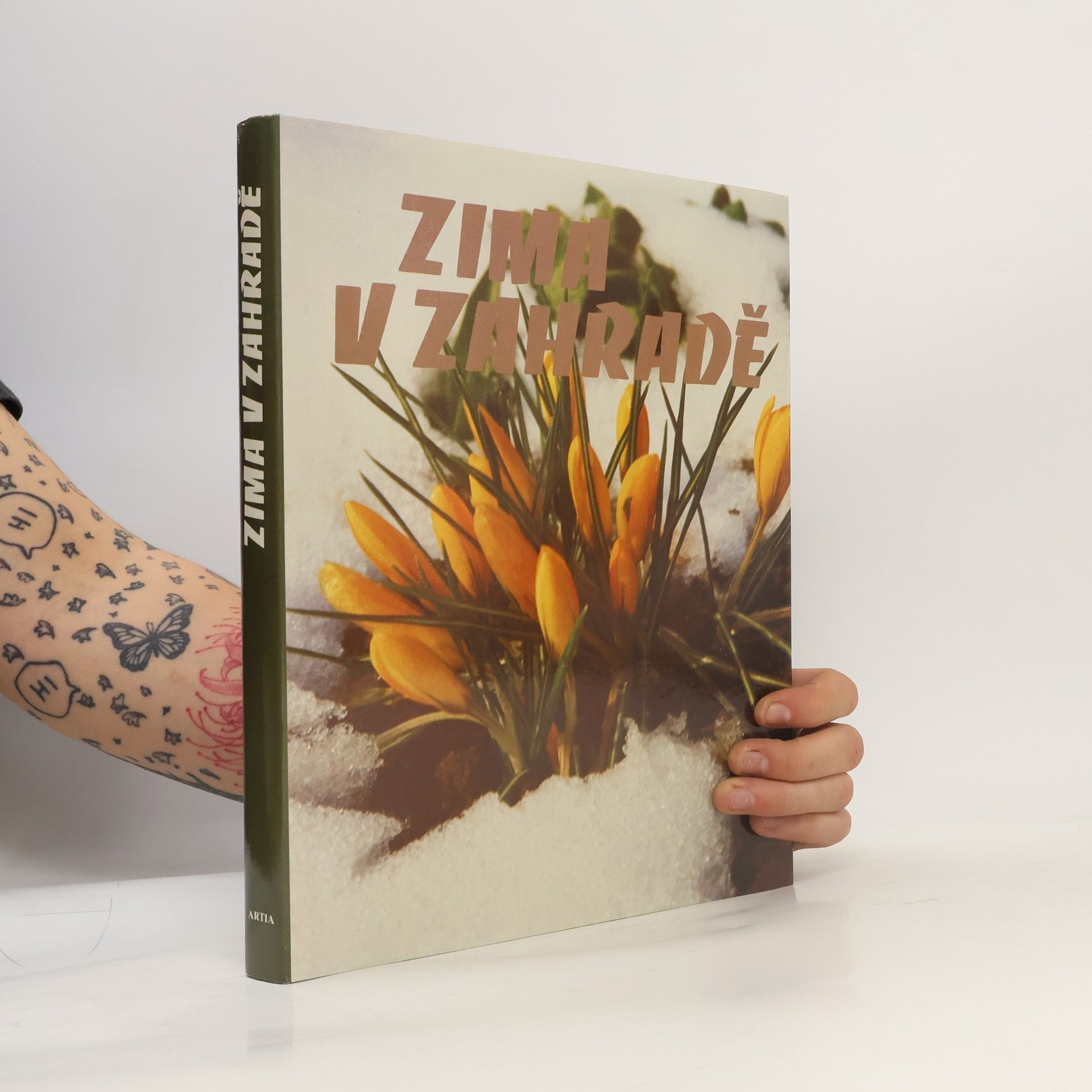 Autorenkollektiv Zima v zahradě