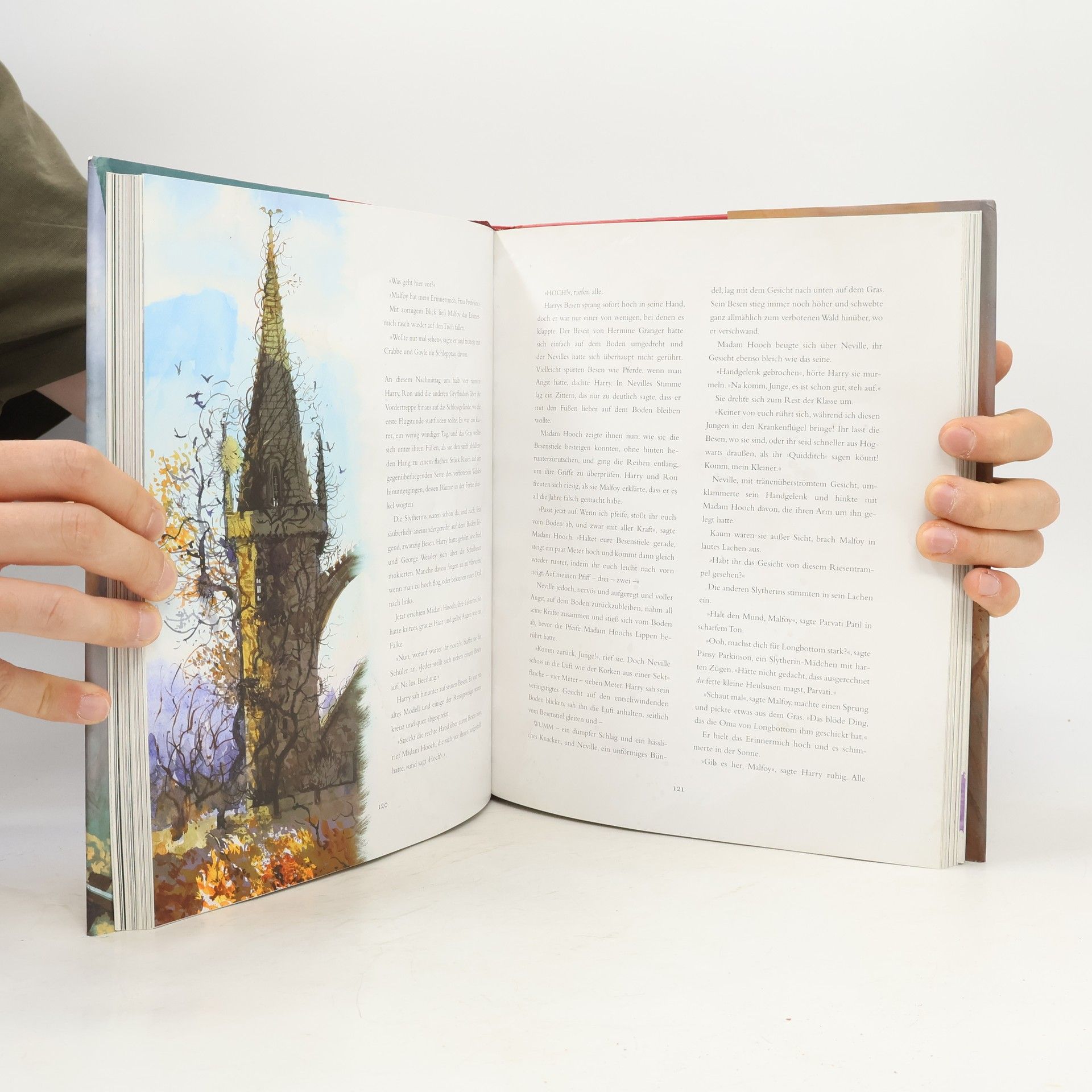 J. K. Rowling Harry Potter und der Stein der Weisen